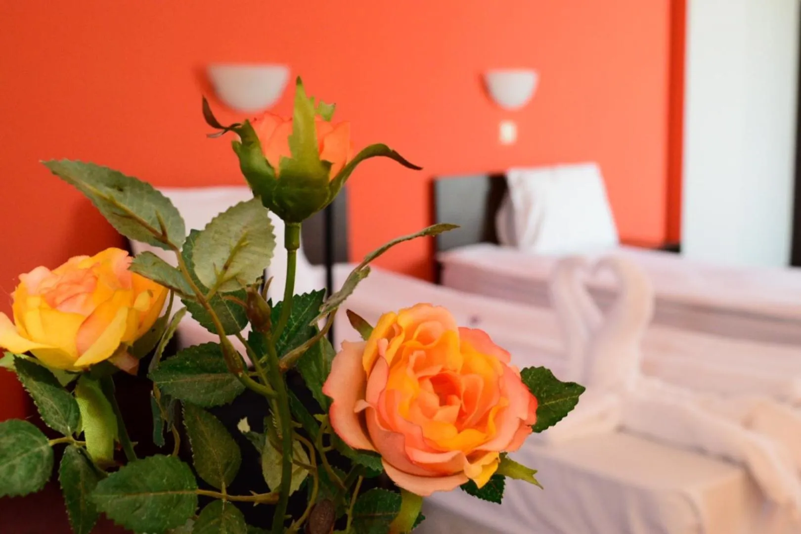 Photo of the whole room, Bed in Hotel Alexander