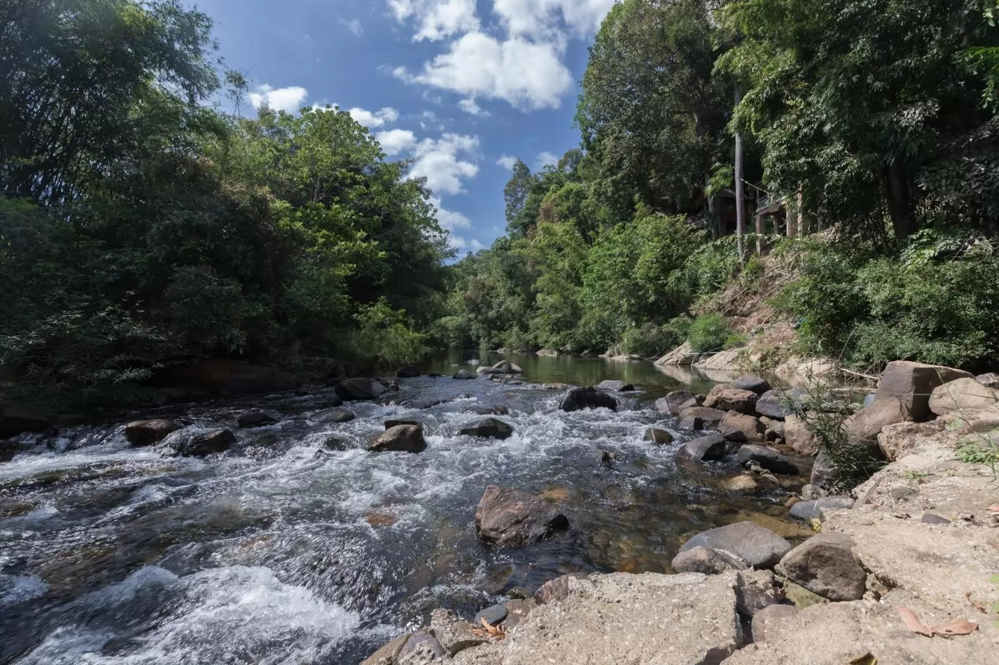 River view in Khaosok Rainforest Resort