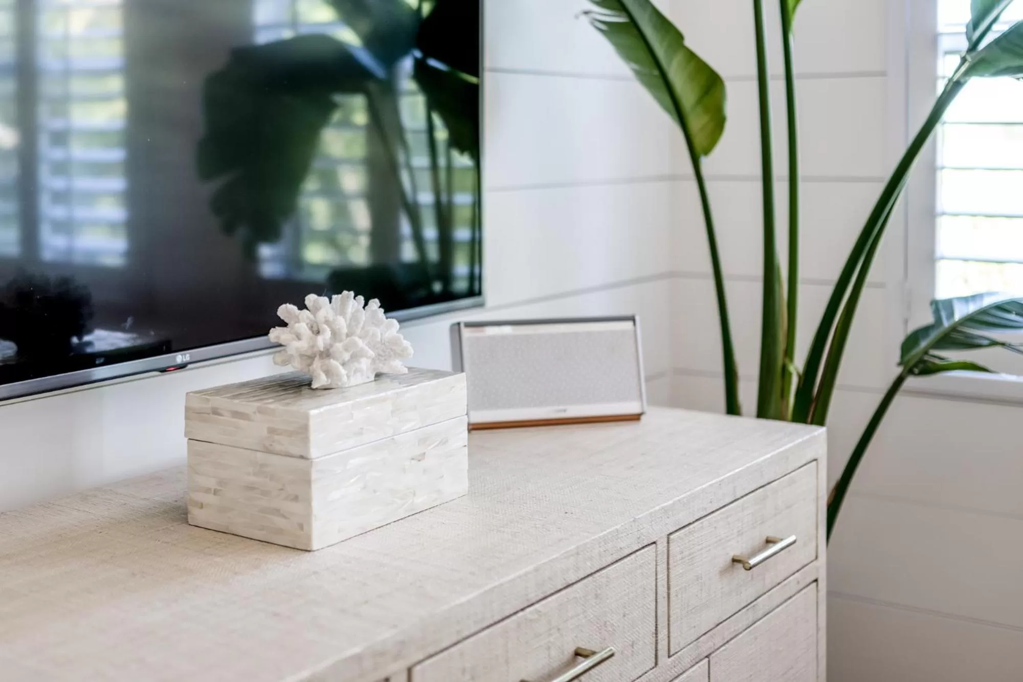 Decorative detail in Tropicals of Palm Beach