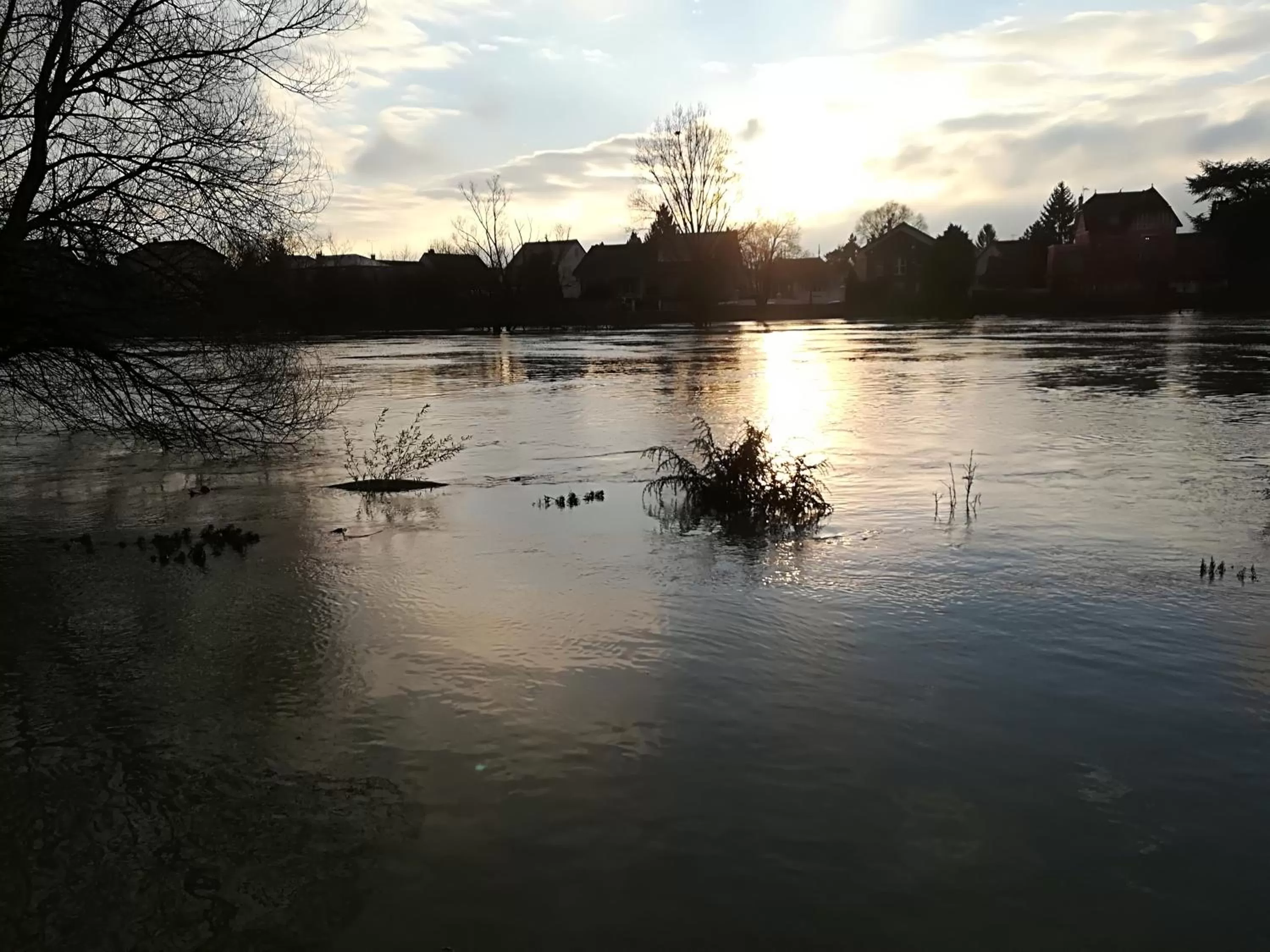 LES PINGOUINS DE LA MARNE