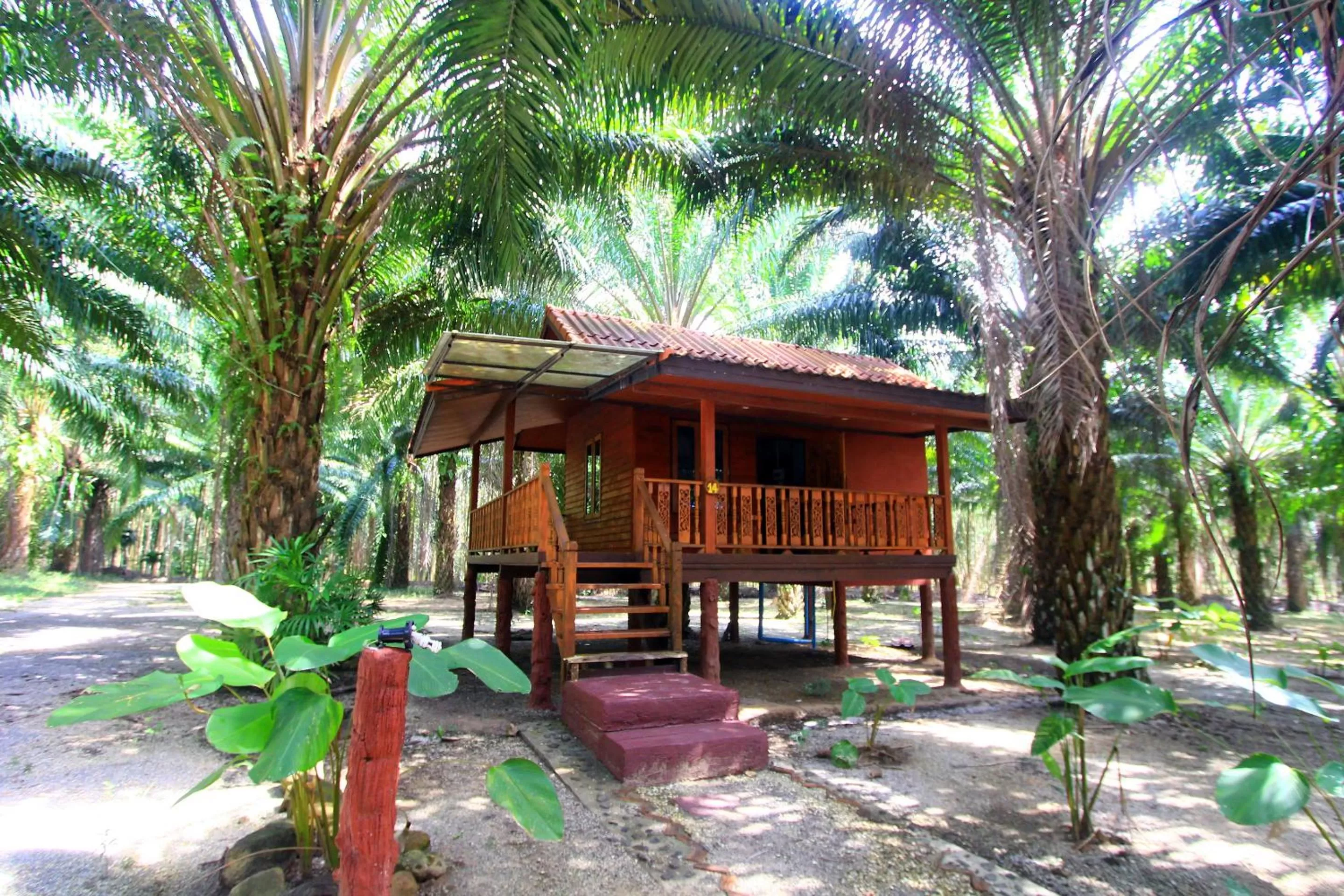 Khao Sok Palmview Resort