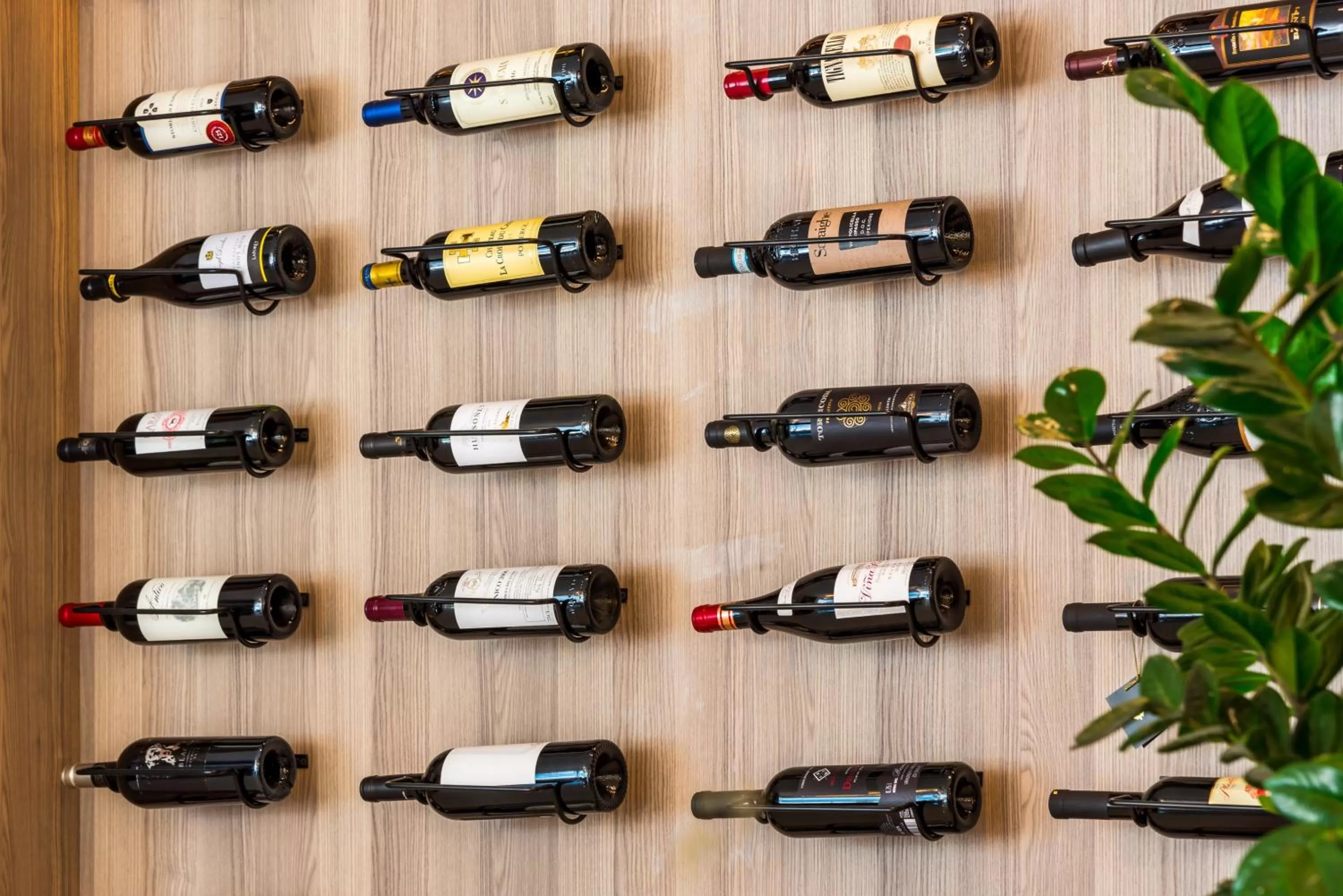 Drinks in Hyatt Regency Kotor Bay Resort