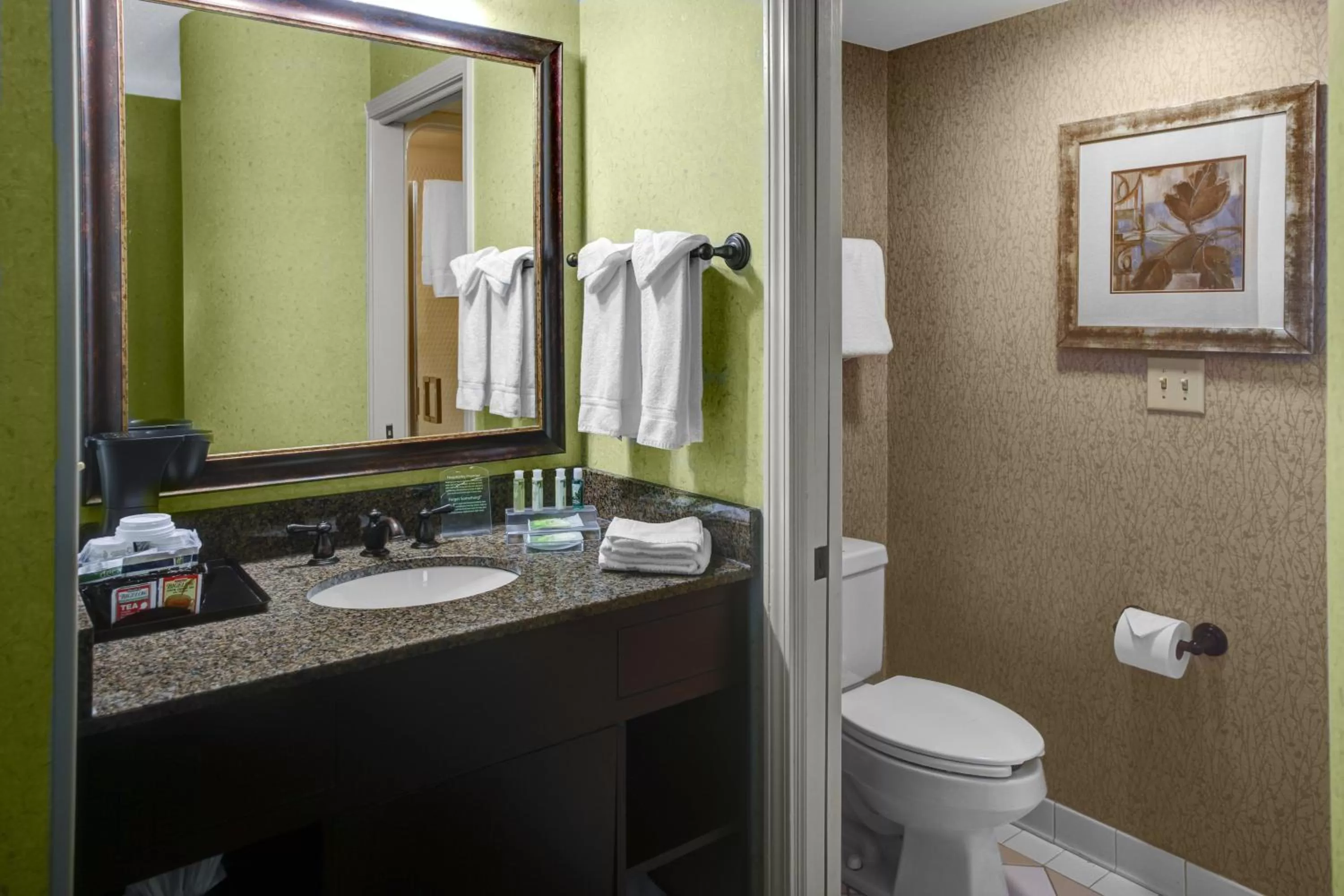 Bathroom in Holiday Inn Express Hotel & Suites Atlanta Buckhead by IHG