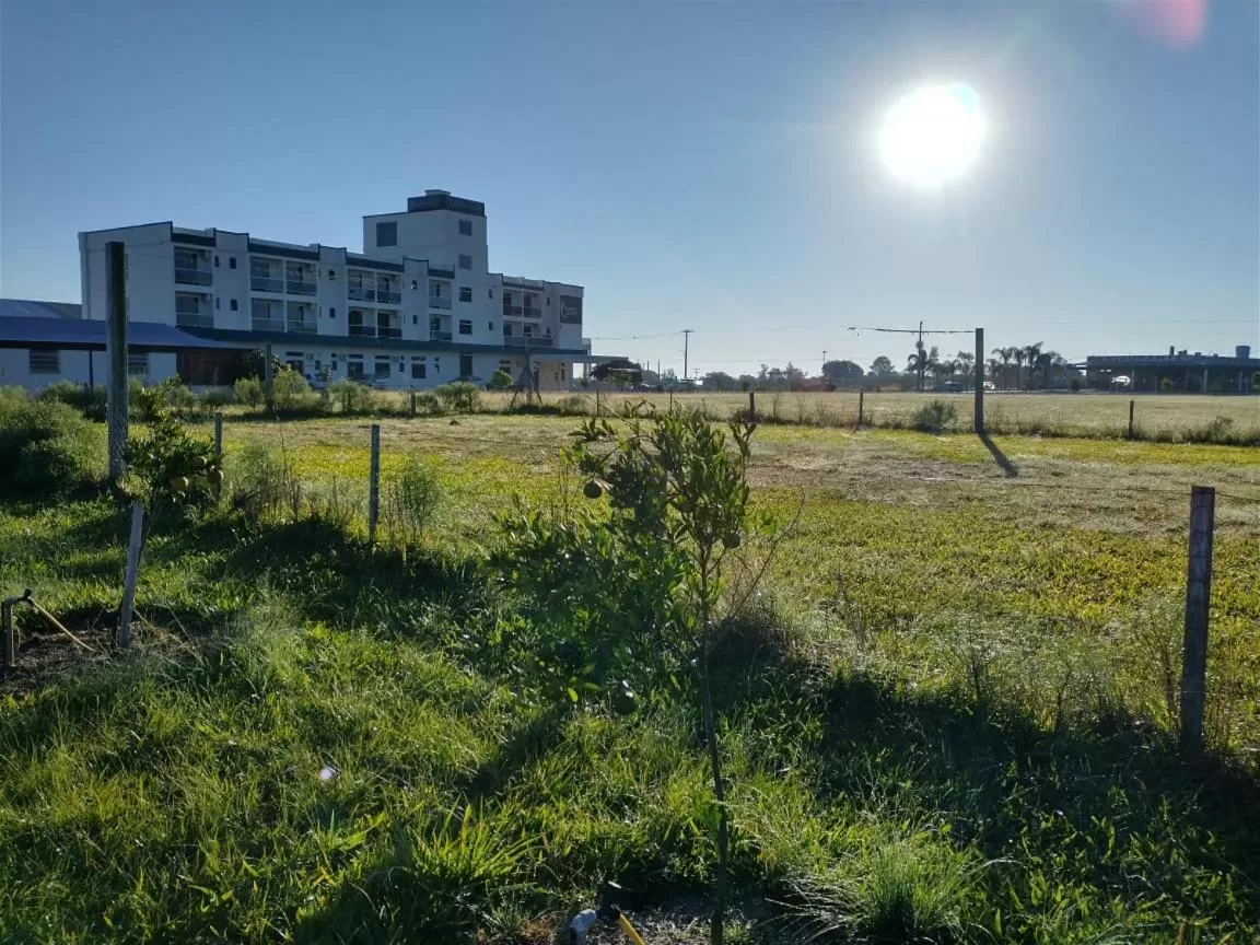 Property Building in Rambo Hotel