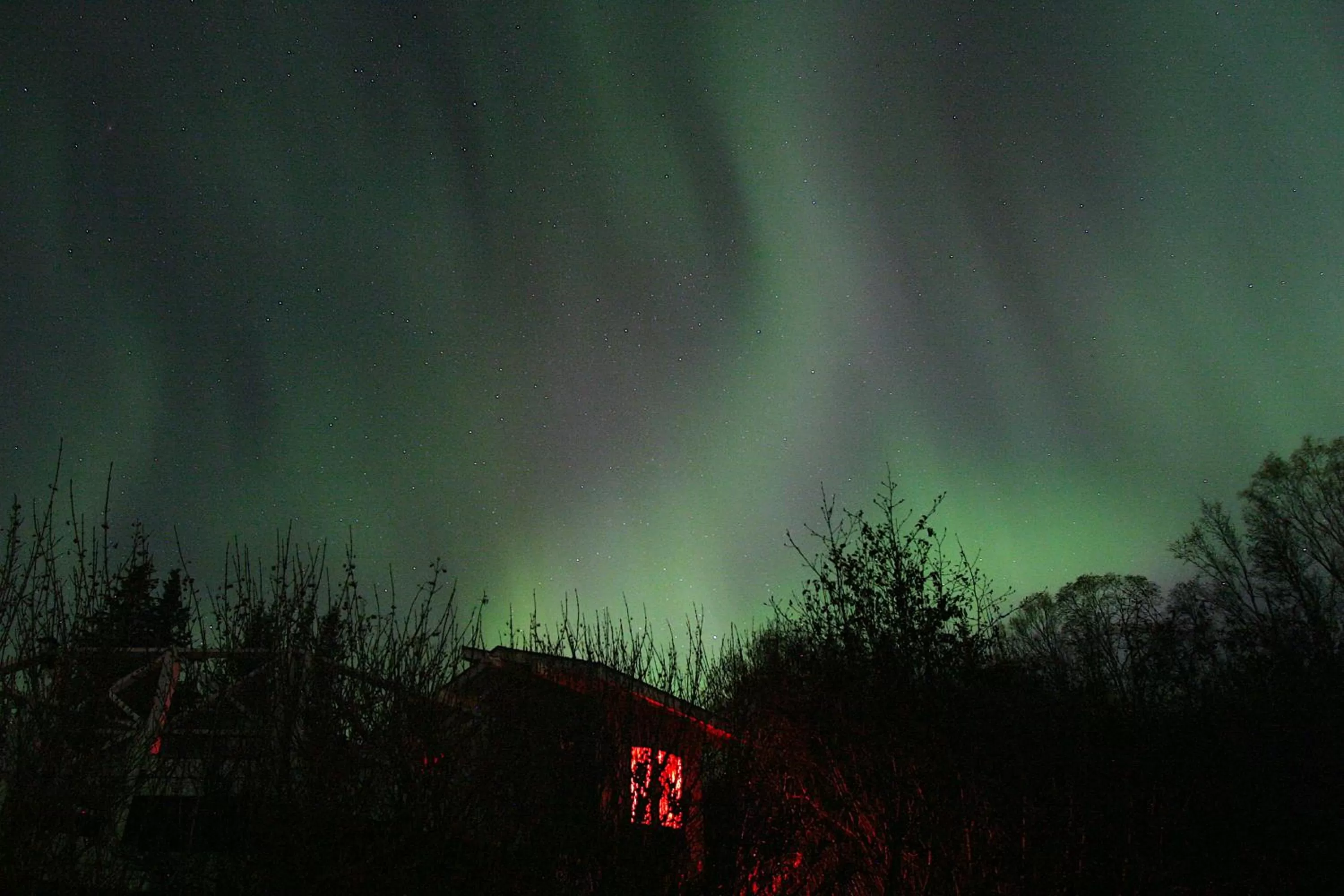 Night in Halcyon Heights B&B/Inn