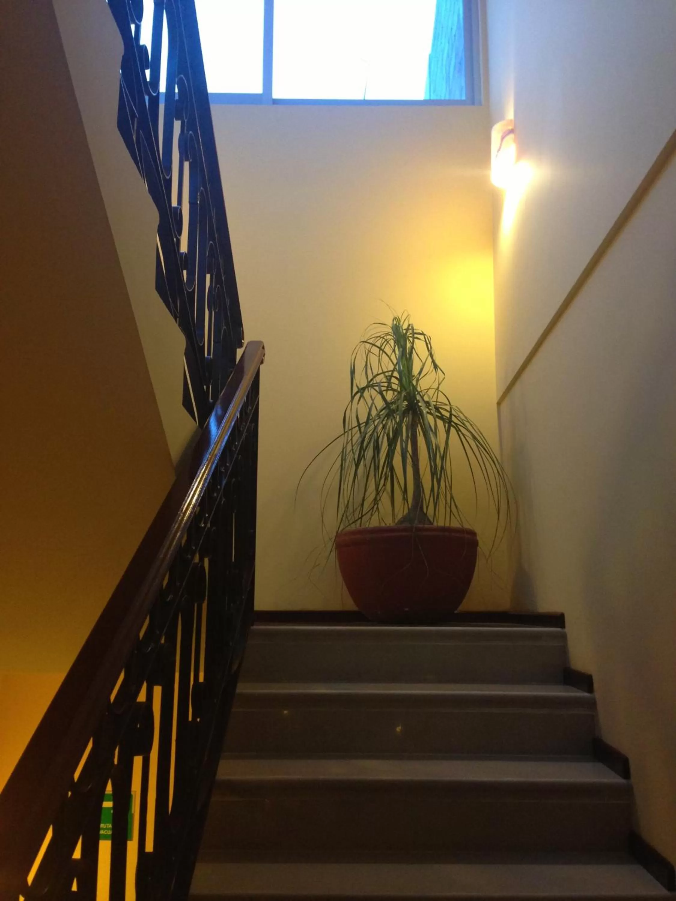 View (from property/room) in Hotel CR Tehuacan