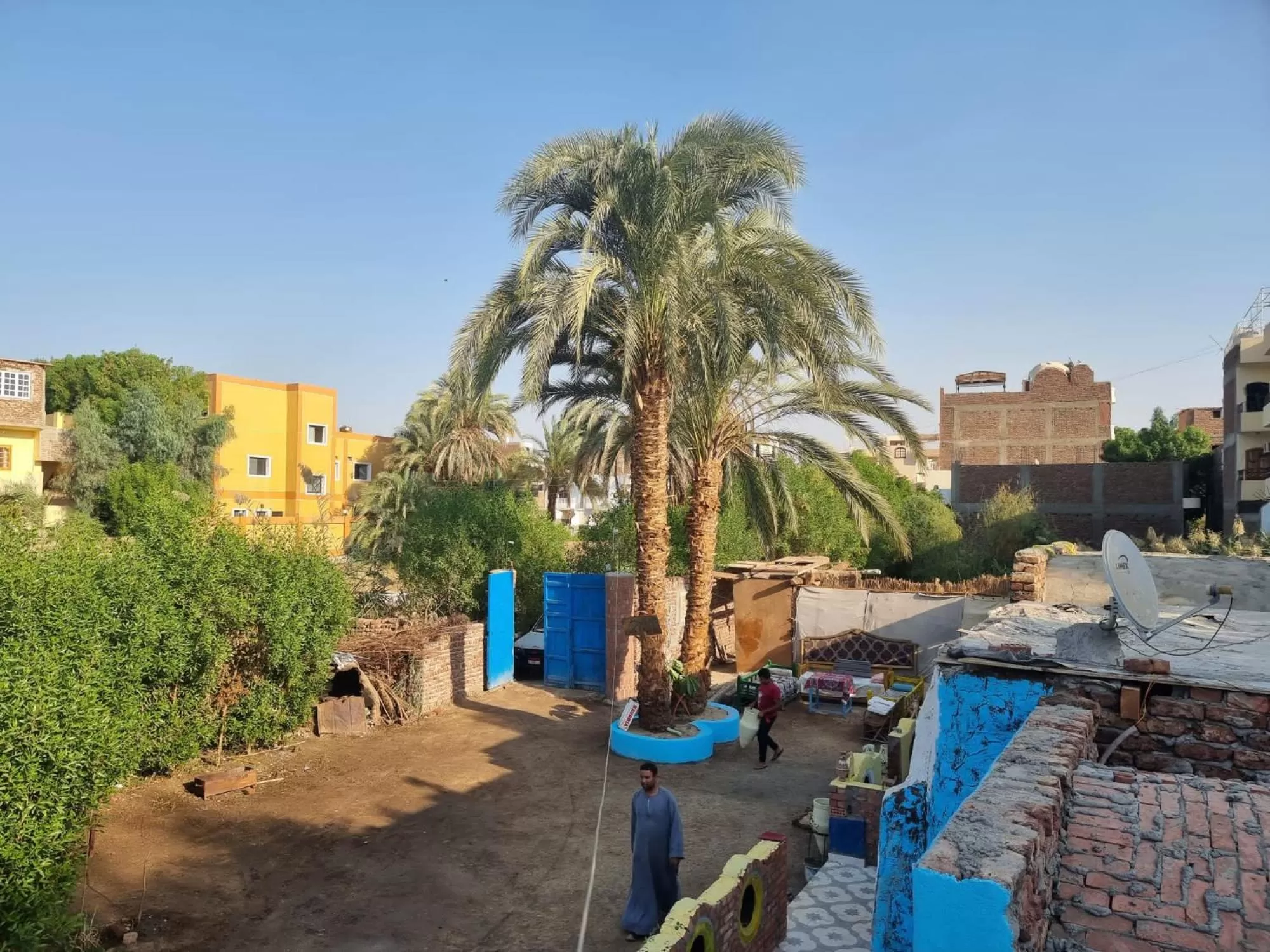 Pool View in Luxor Old Nile Hotel