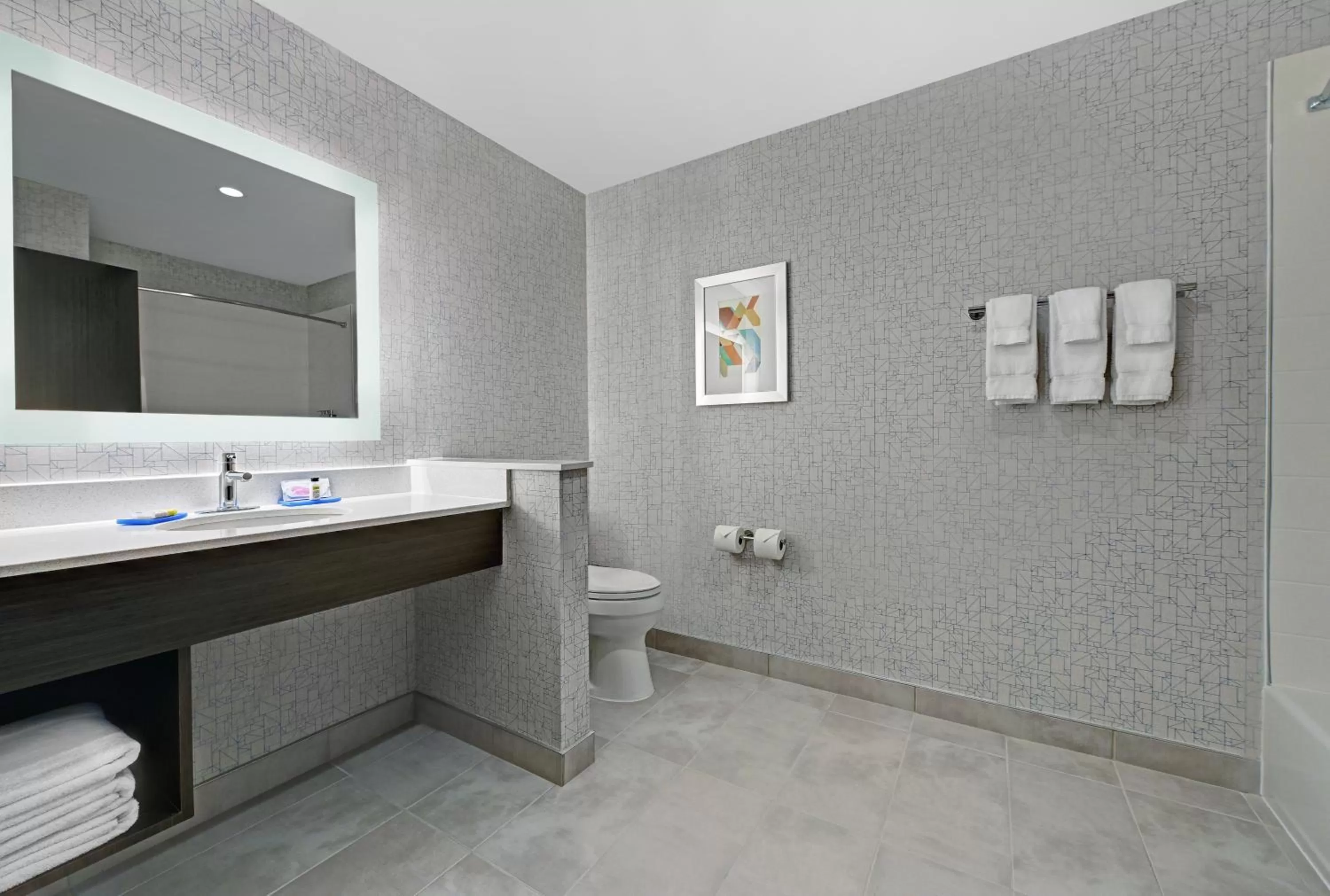 Bathroom in Holiday Inn Express & Suites Memorial – CityCentre by IHG