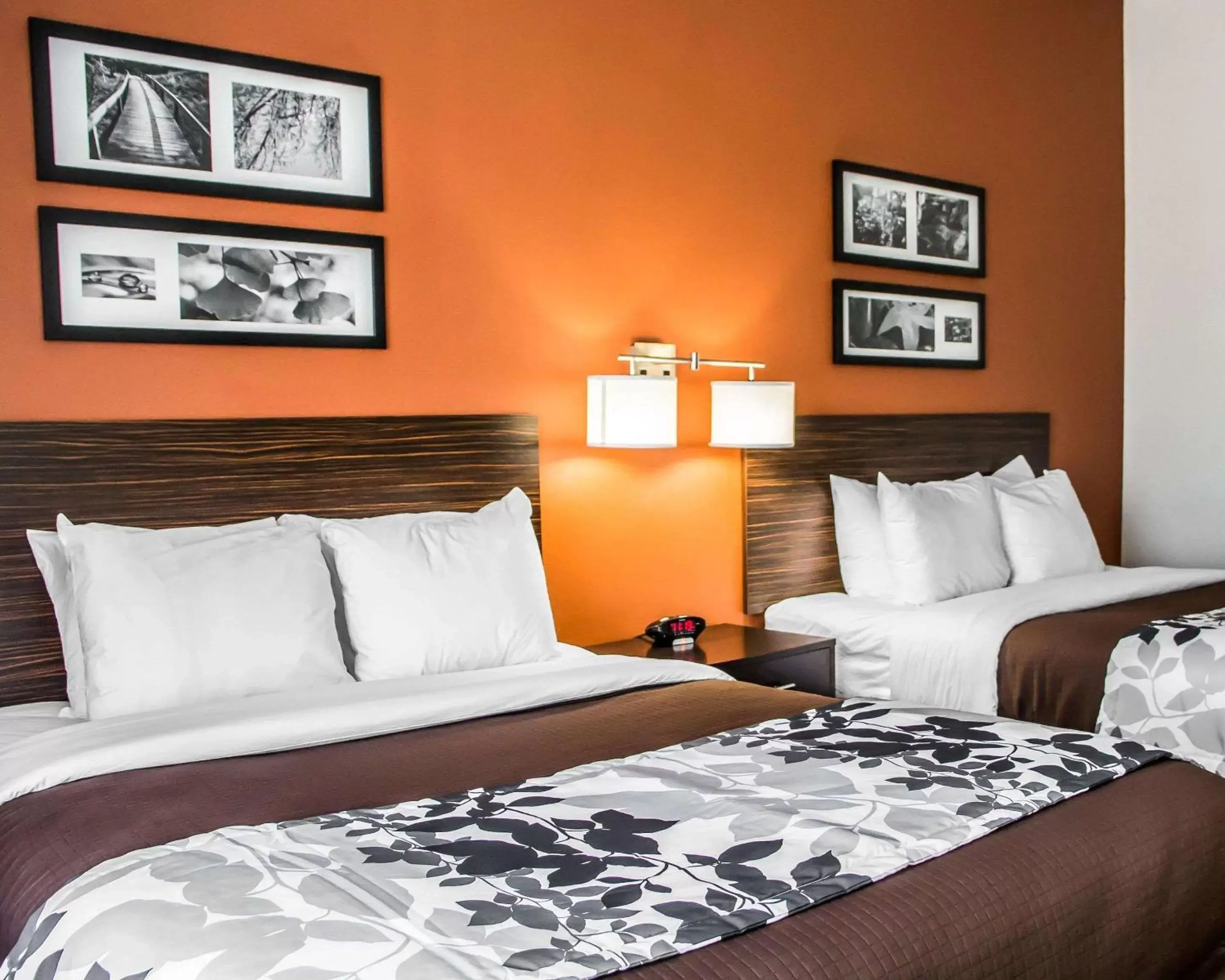 Queen Room with Two Queen Beds - Non-Smoking in Sleep Inn & Suites Blackwell I-35 Queen Room with Two Queen Beds - Non-Smoking in Sleep Inn & Suites Blackwell I-35