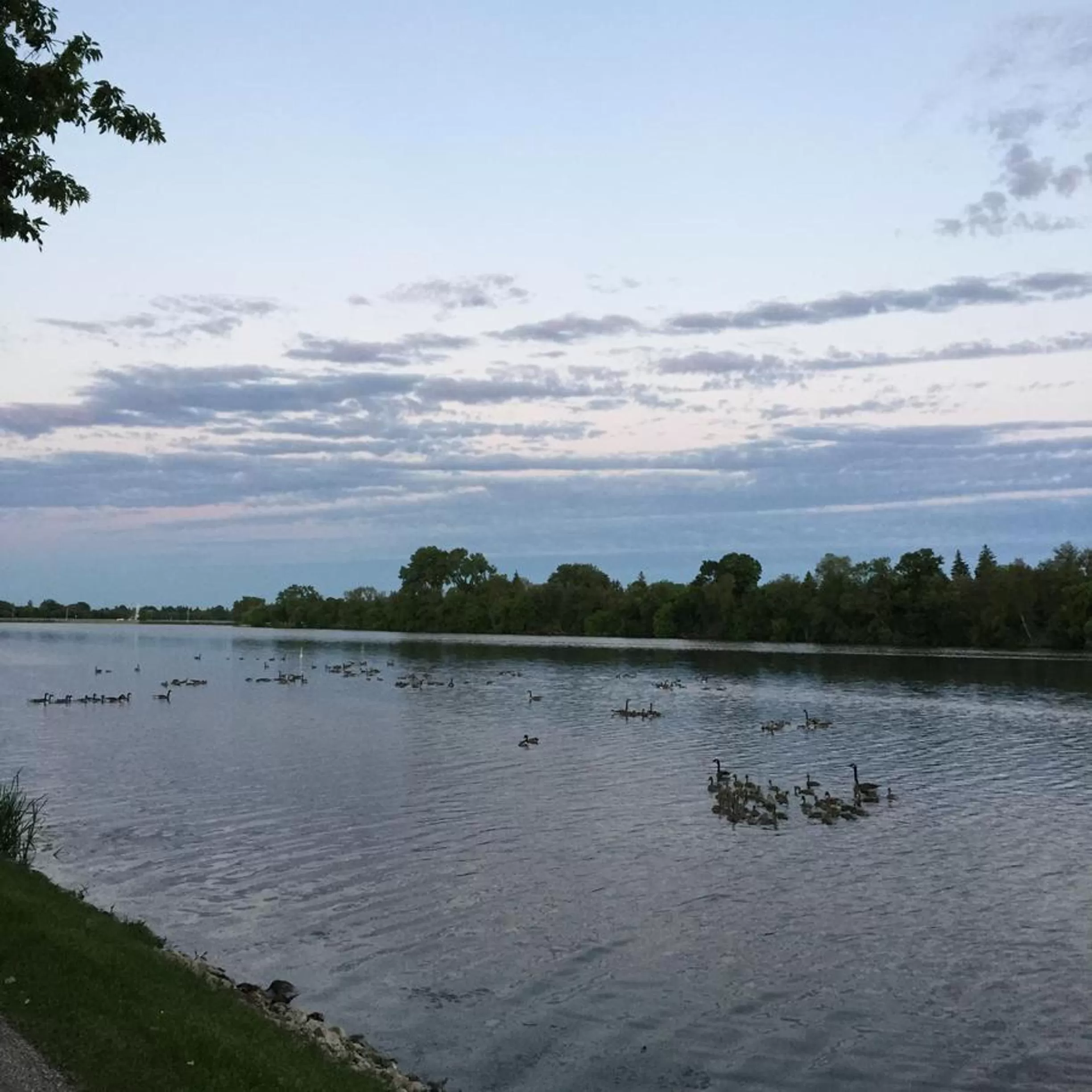View (from property/room) in Yellow Quill Motel