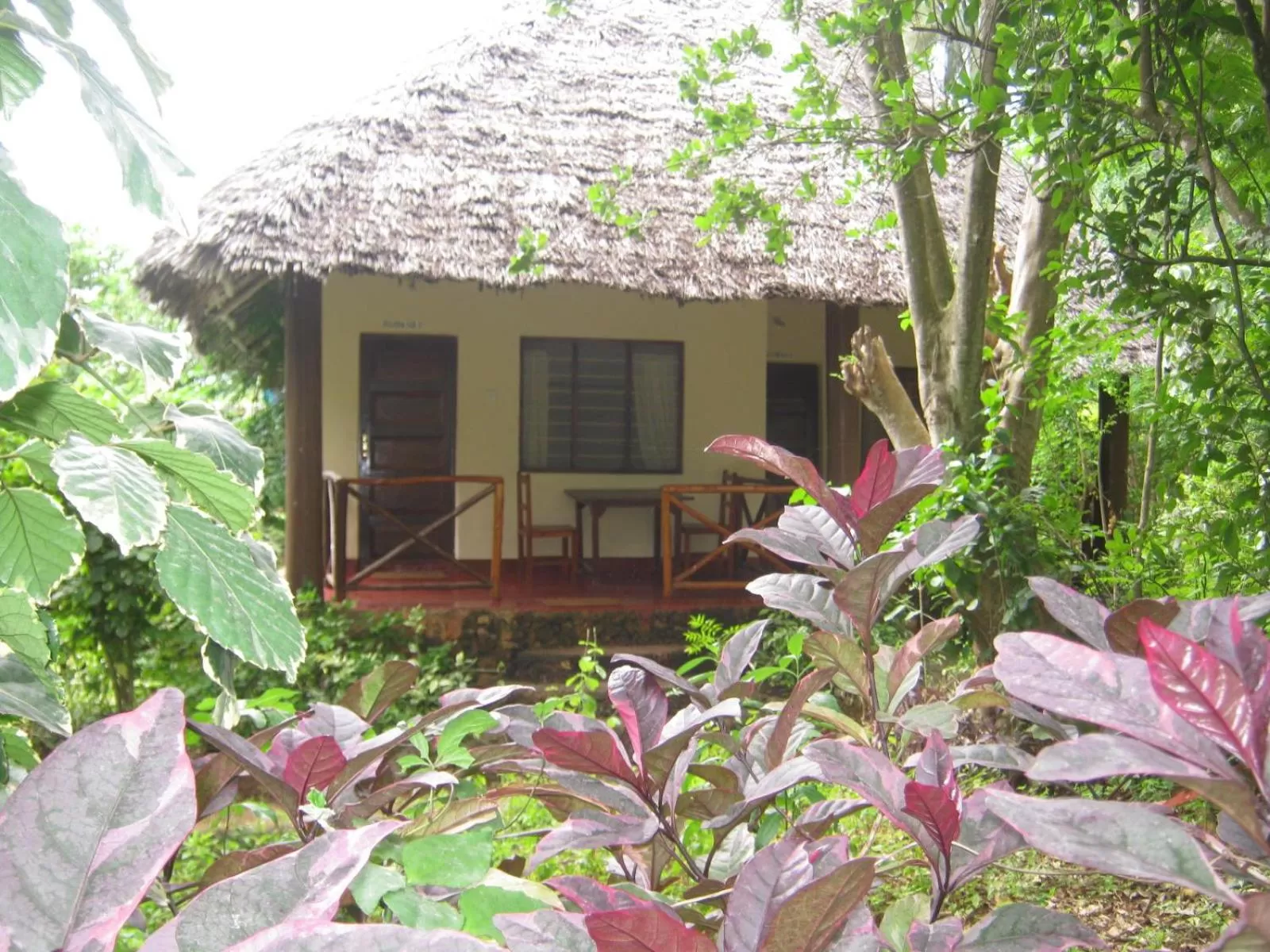 Garden in Baraka Aquarium Bungalows
