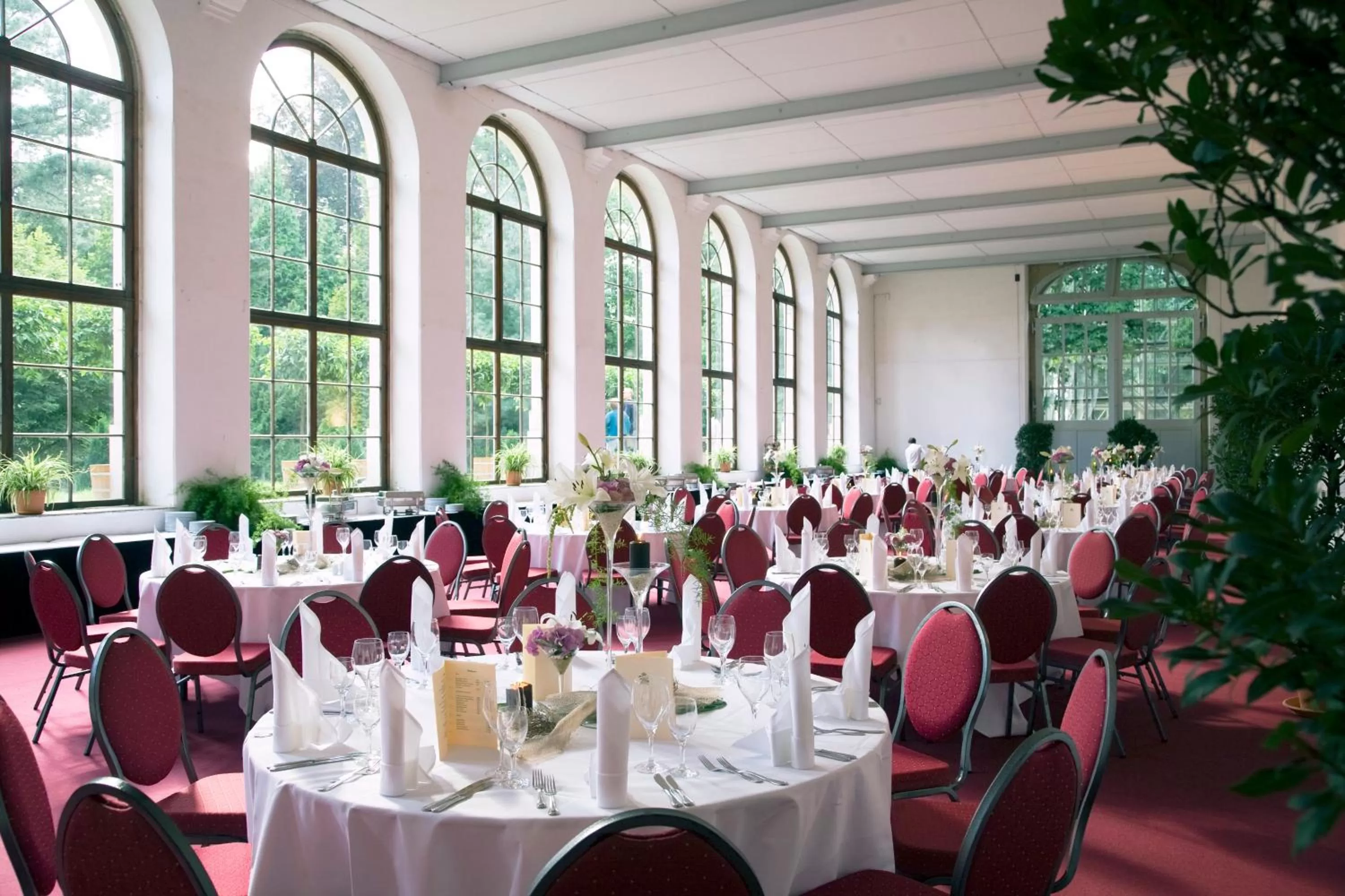 Area and facilities in Schloss Hotel Dresden Pillnitz