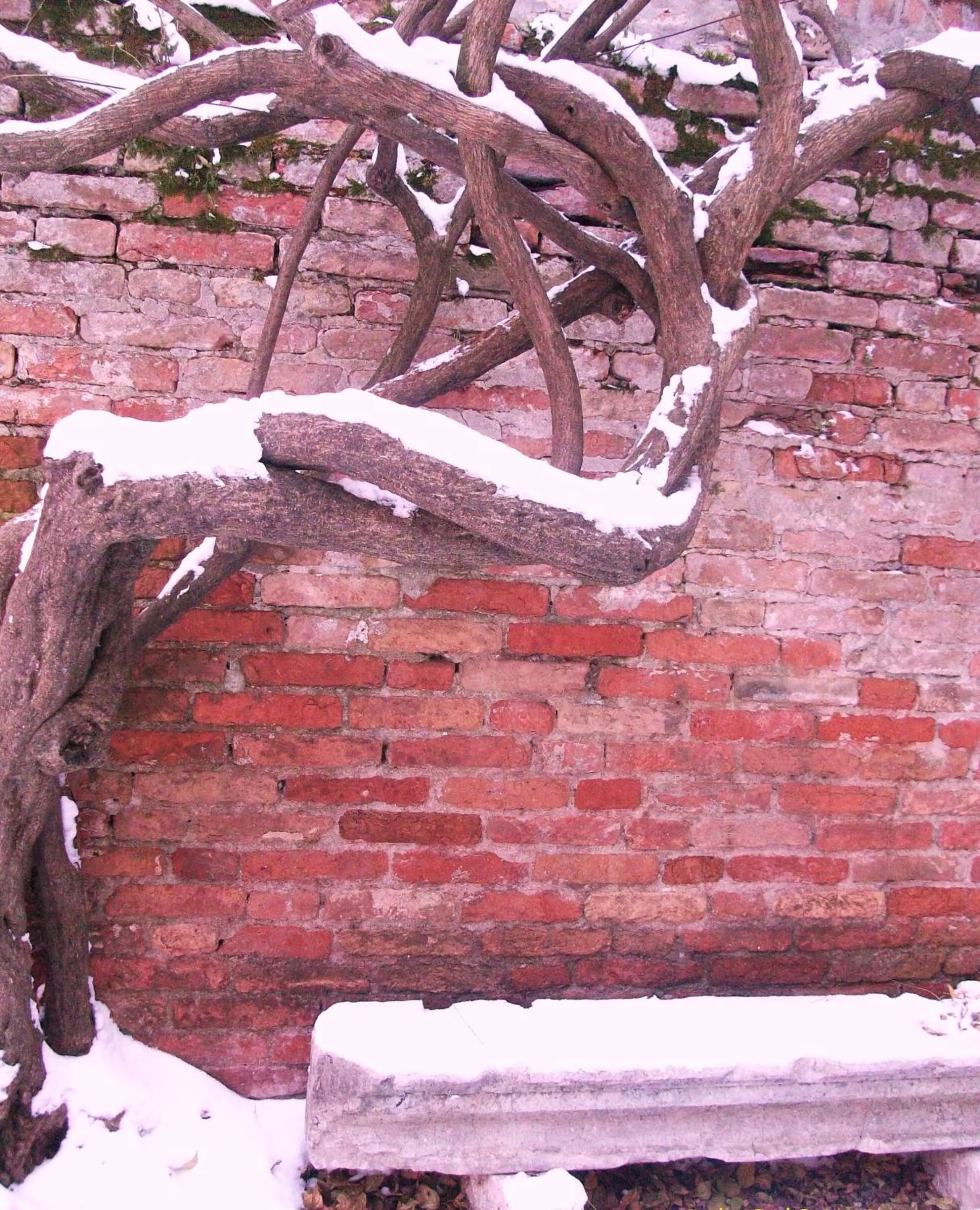 On site in Relais Alcova del Doge