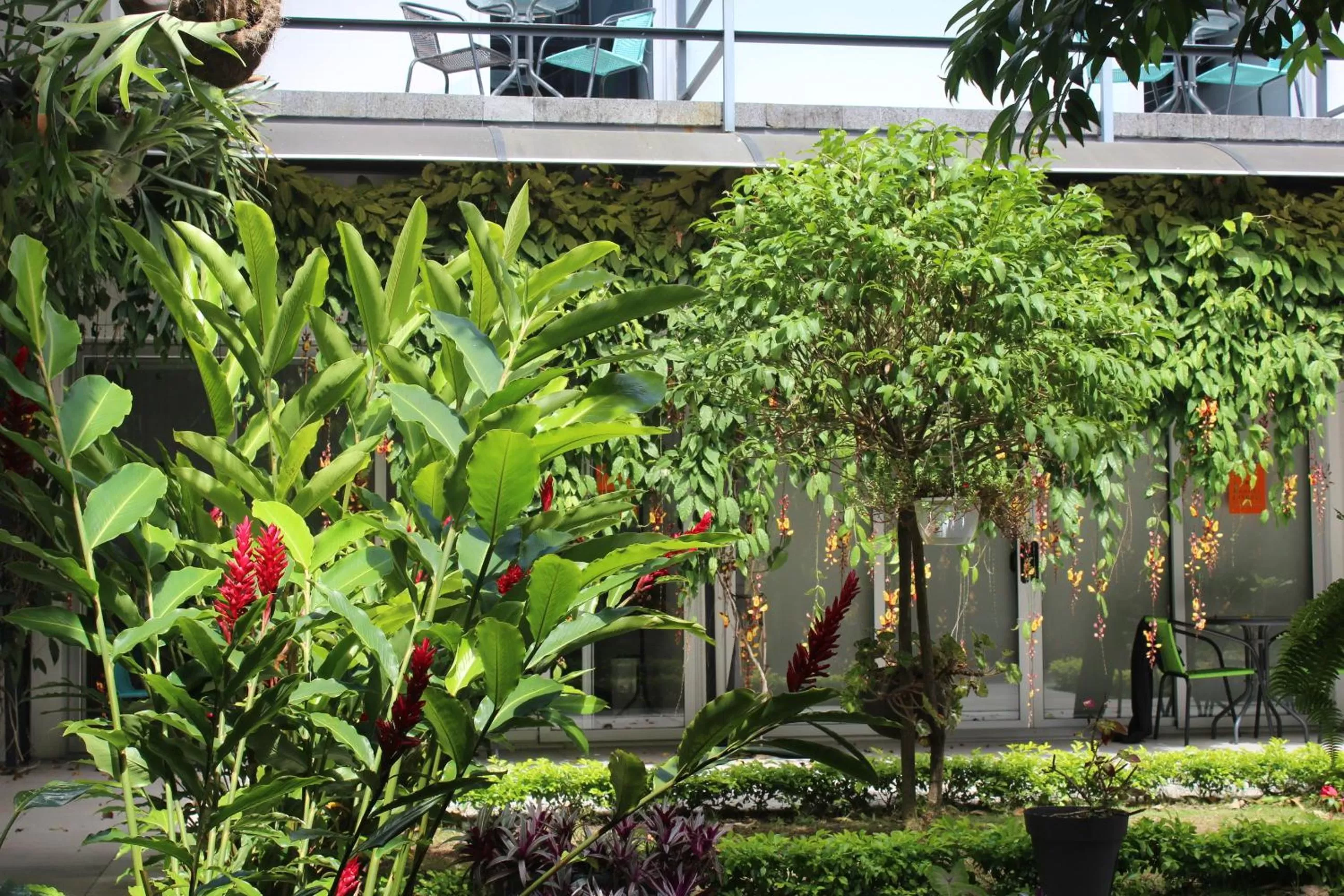 Garden in Cando Living Apartments in Central Avenue