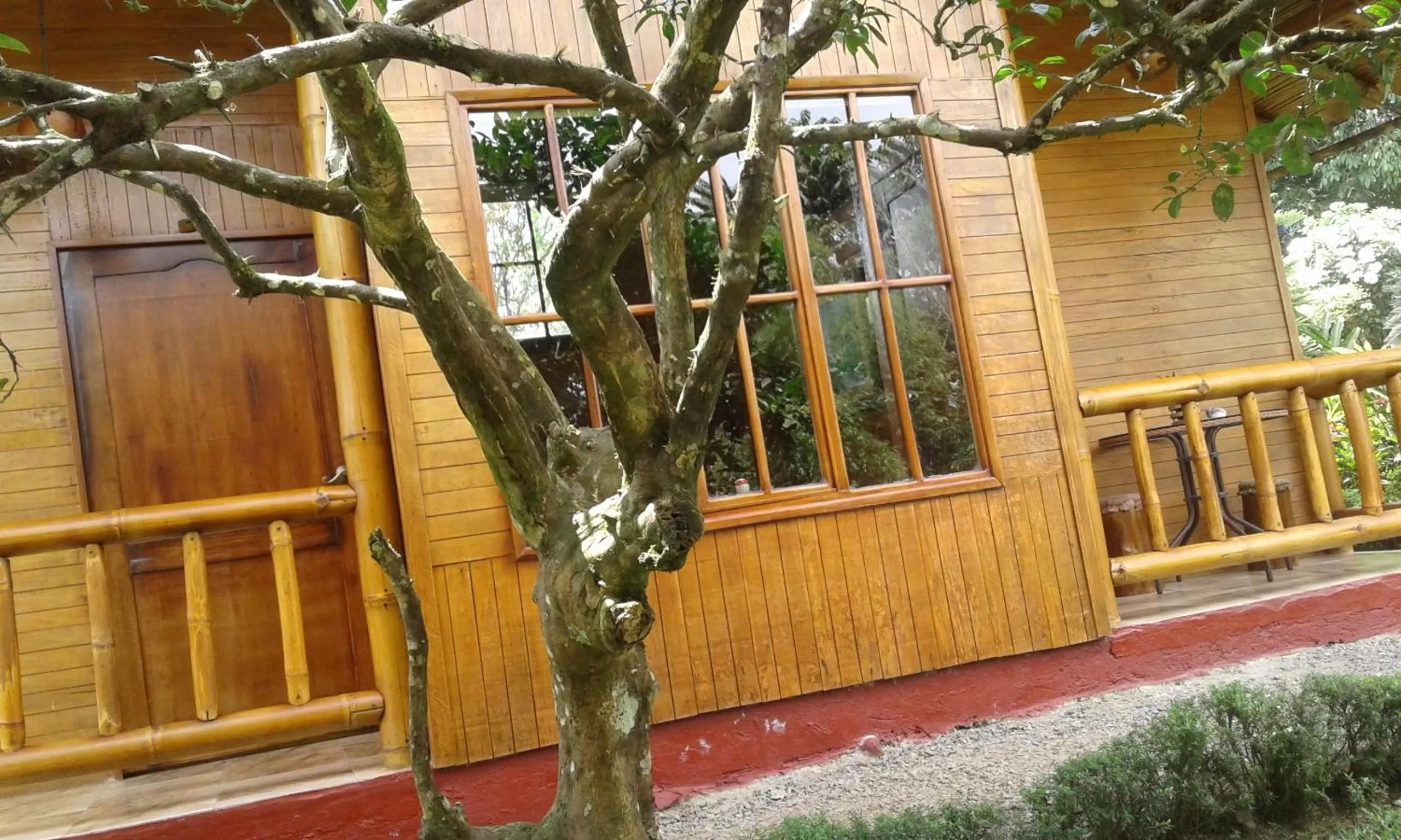 Twin Room in Estancia La Colina