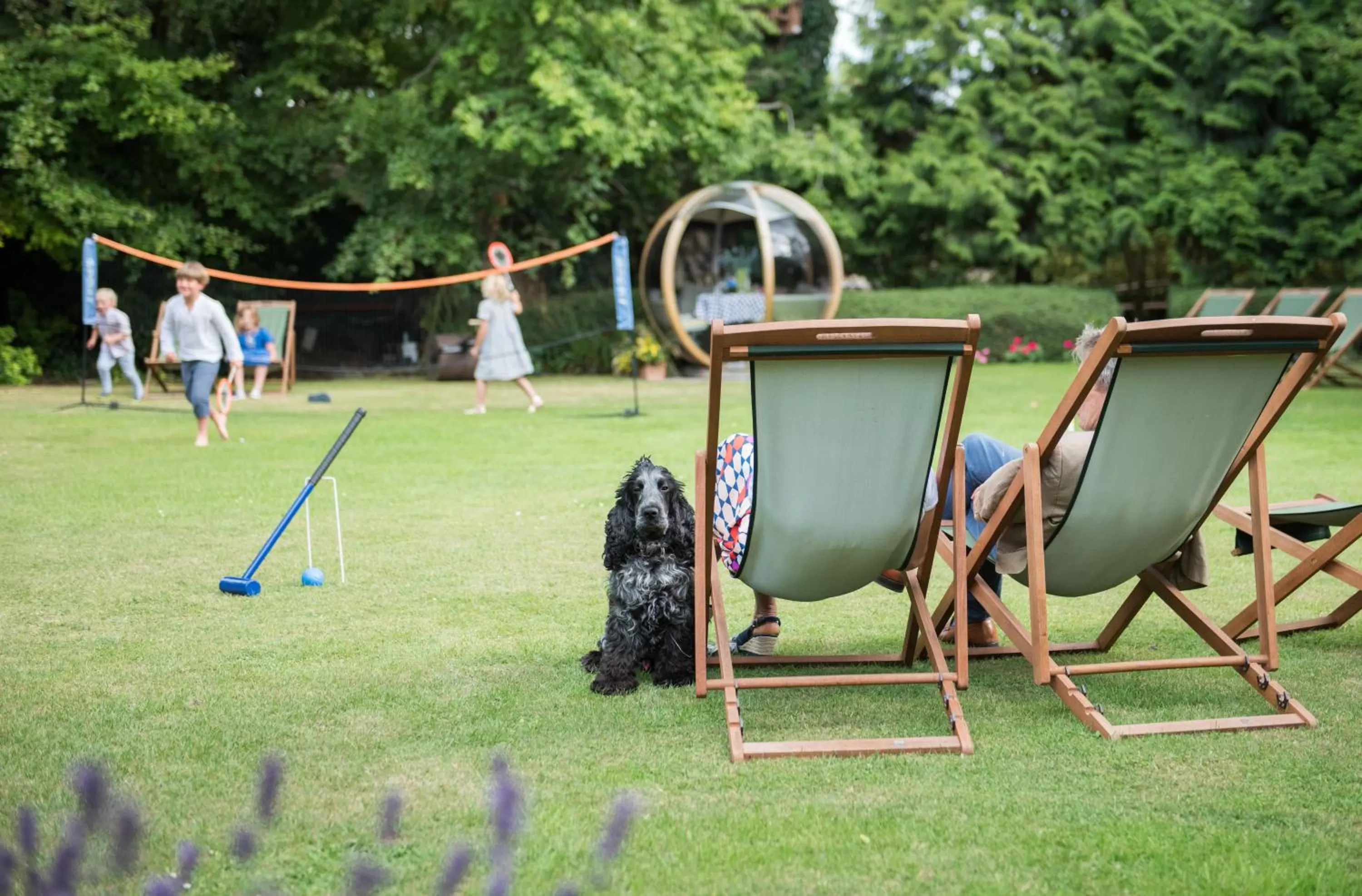 Garden in The Eastbury & Spa