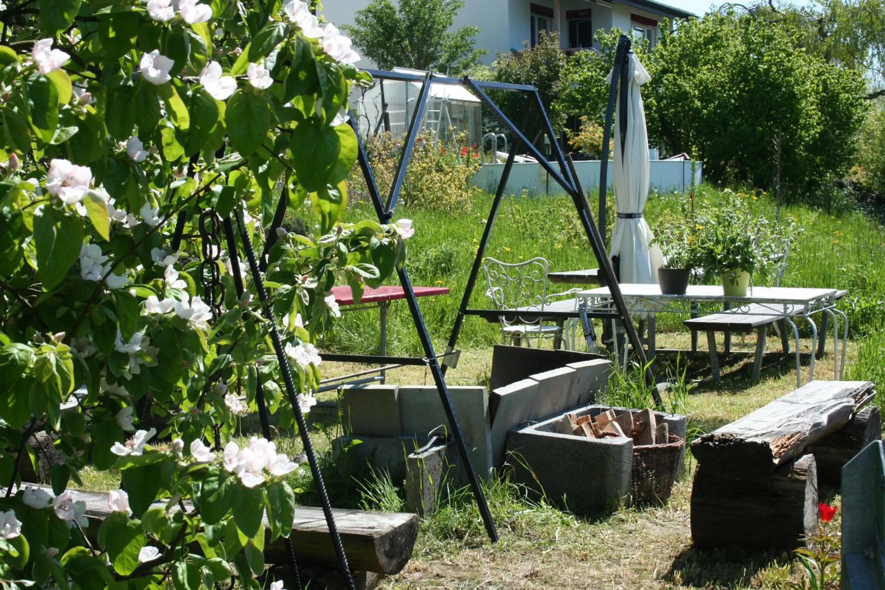 Natural landscape in BnB Mönthal im Jurapark