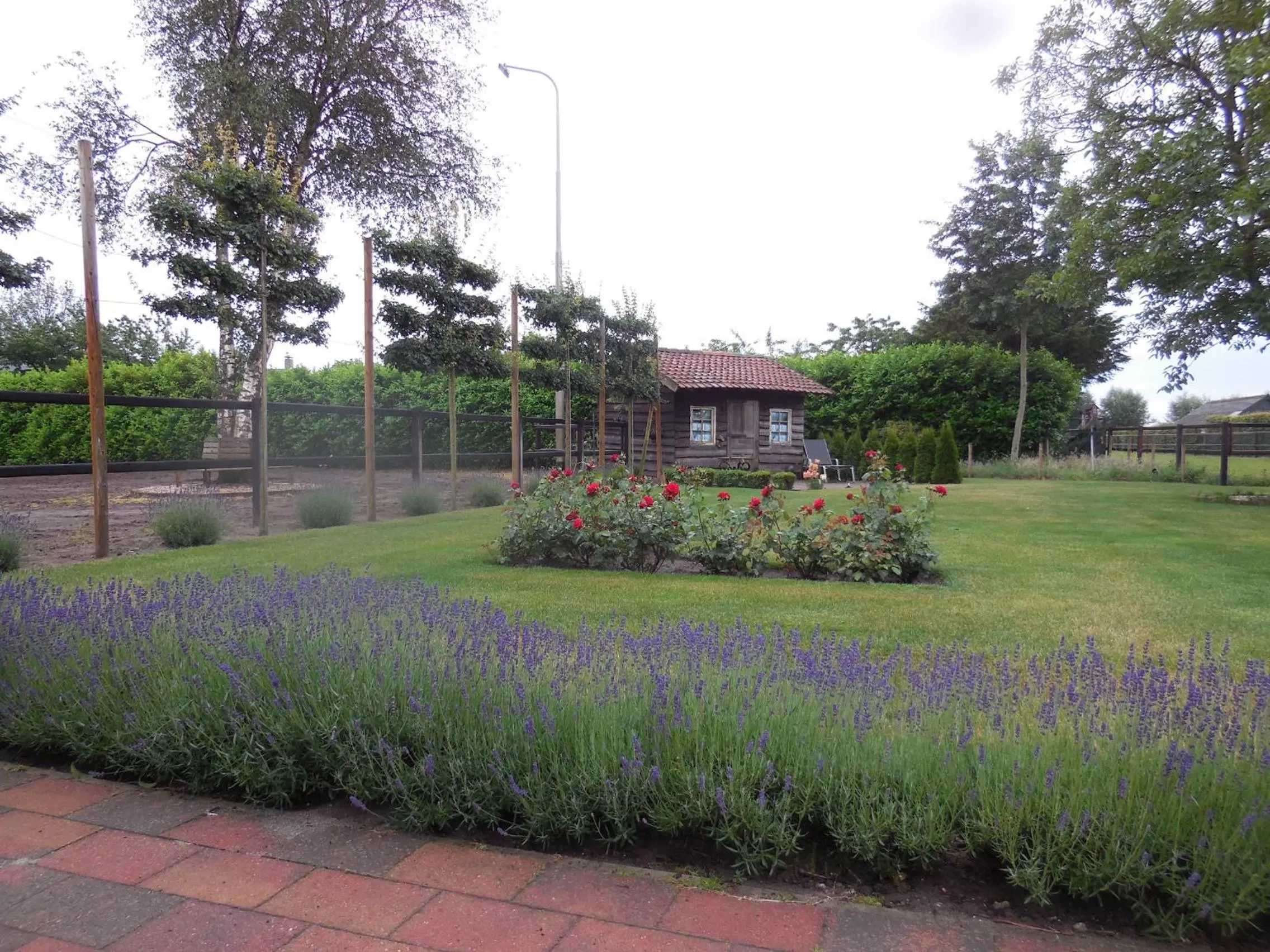 Decorative detail in B & B " De 7 Sprong "