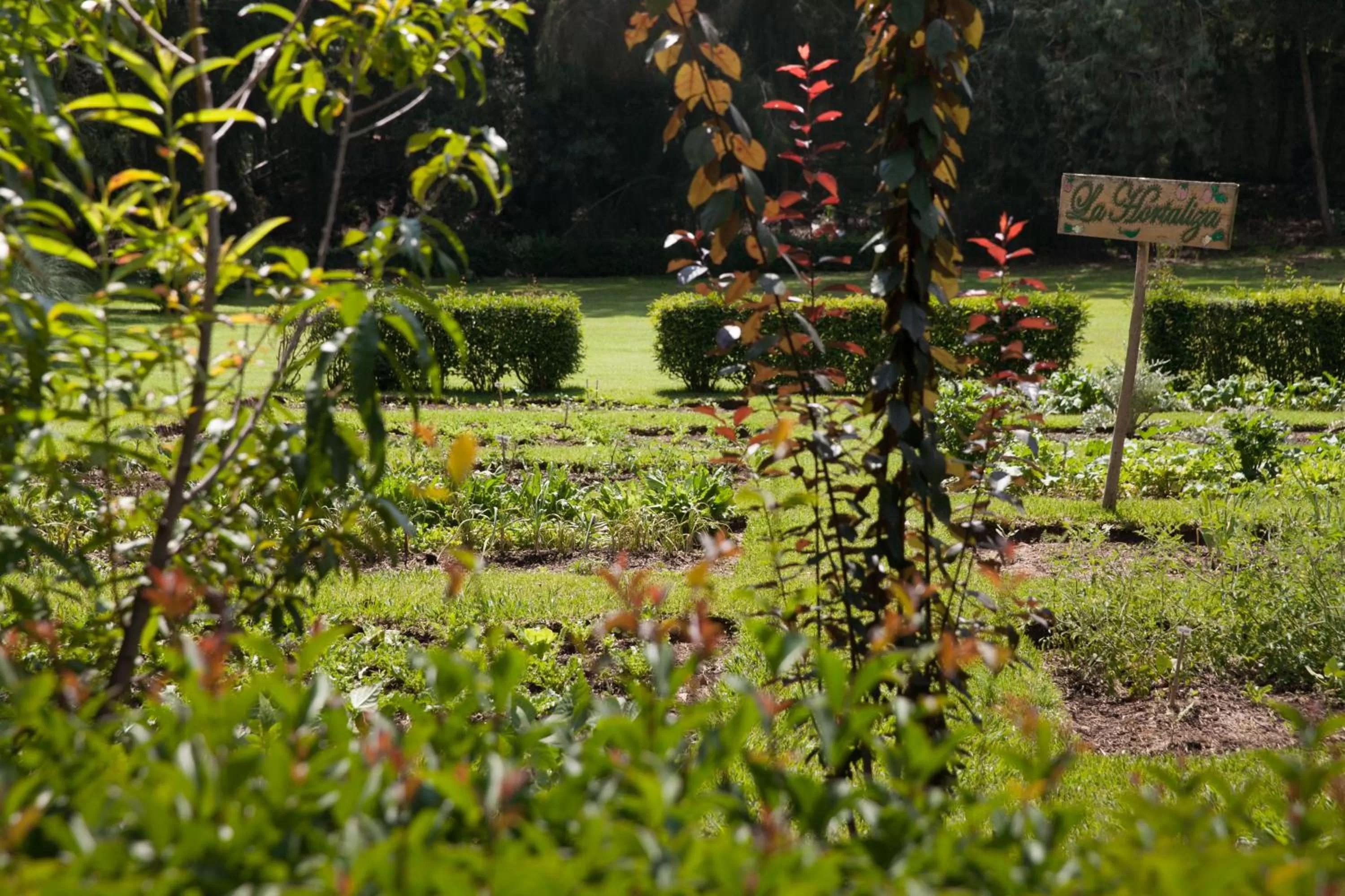 Natural landscape in Hotel Rancho San Cayetano