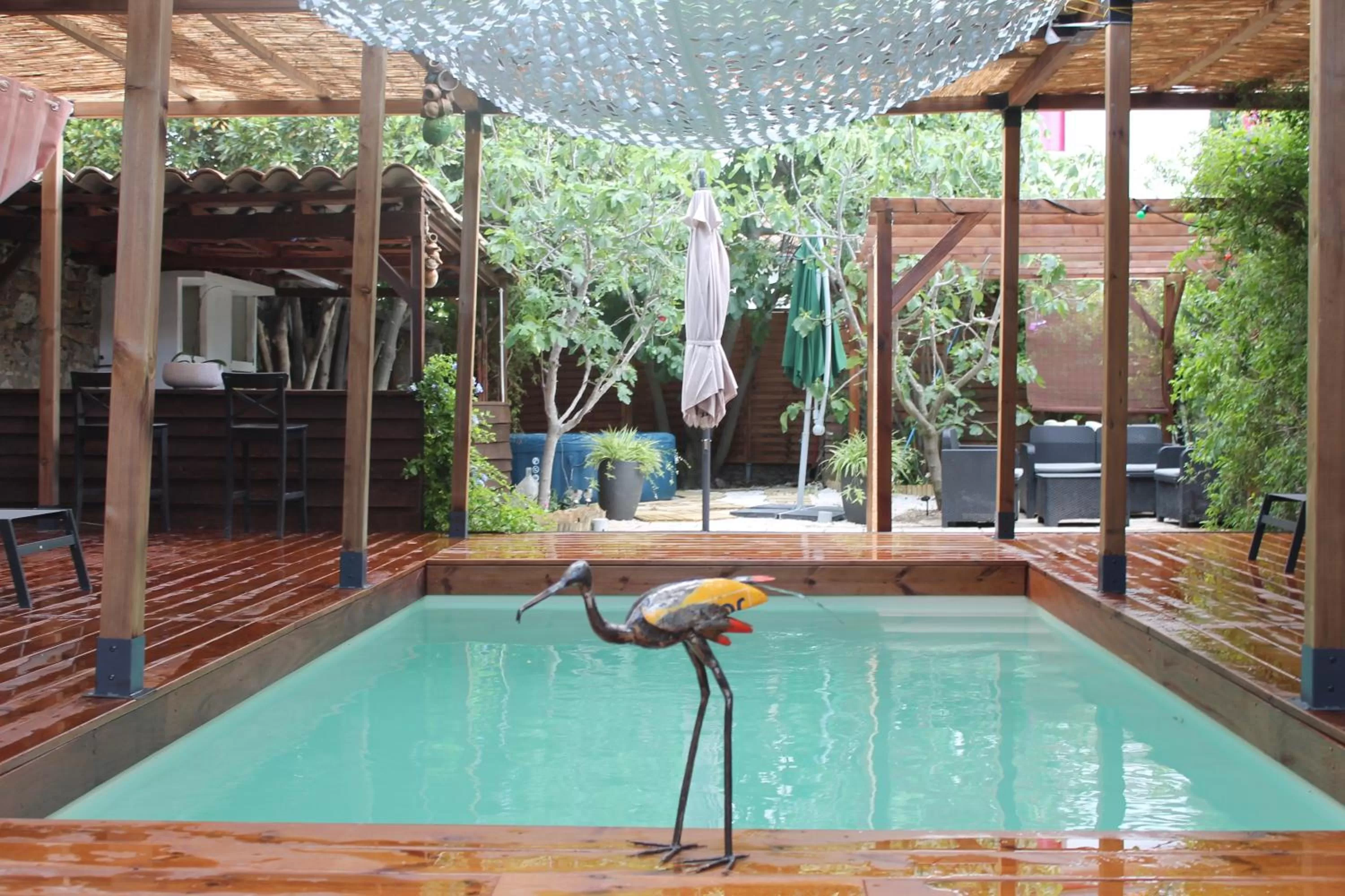 Swimming Pool in Les 2 Drôles d'Oiseaux