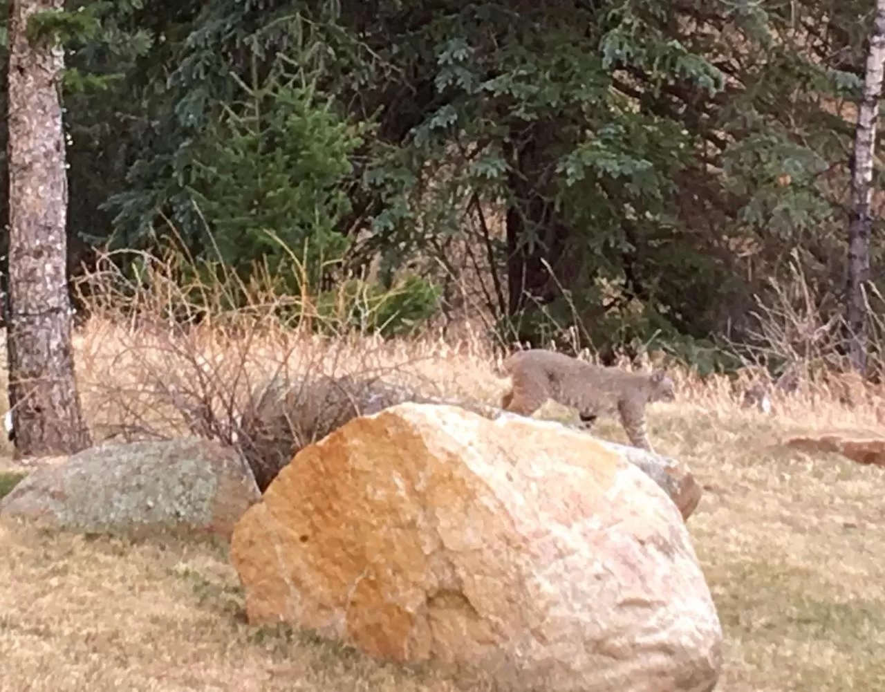 Riversong Inn Retreat