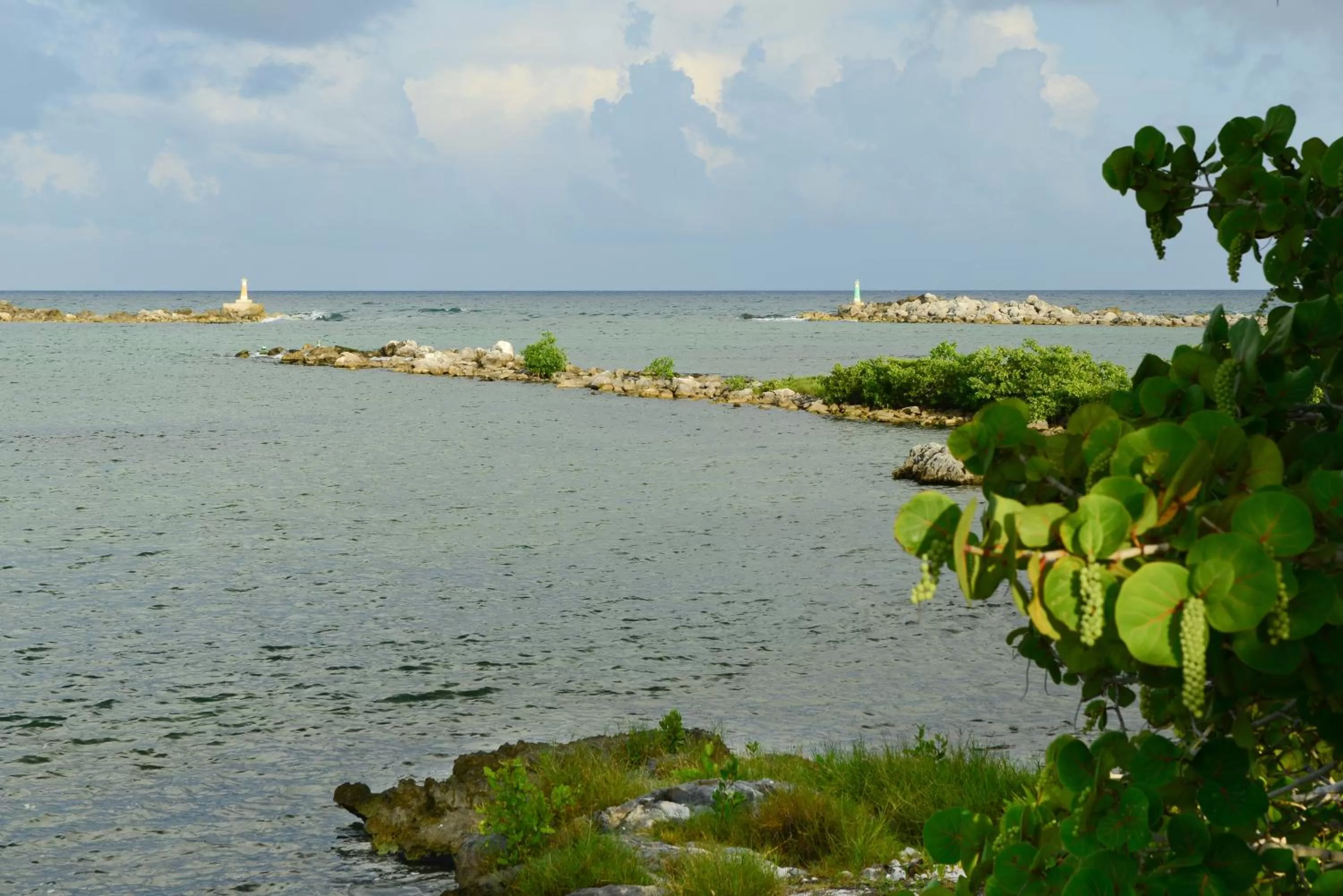 Area and facilities in B&B Mom's House