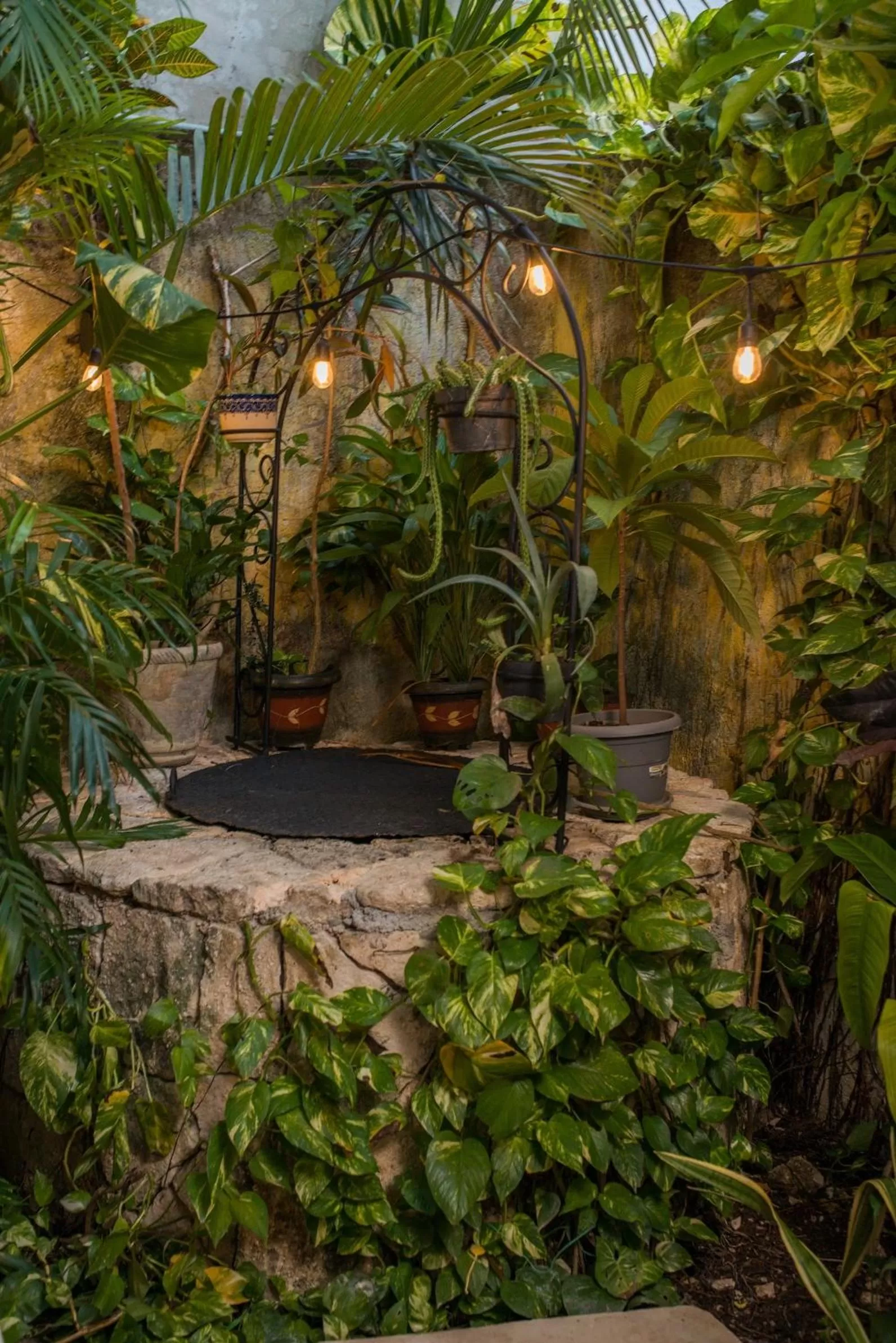 Garden in Hacienda Boutique B&B and Spa Solo Adultos