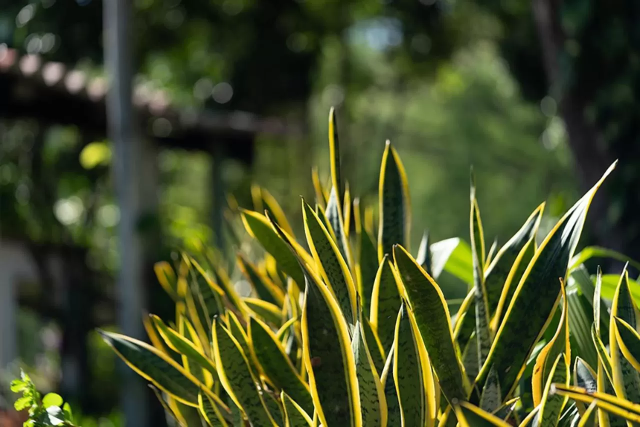 Natural landscape in Waka Hotel Rural