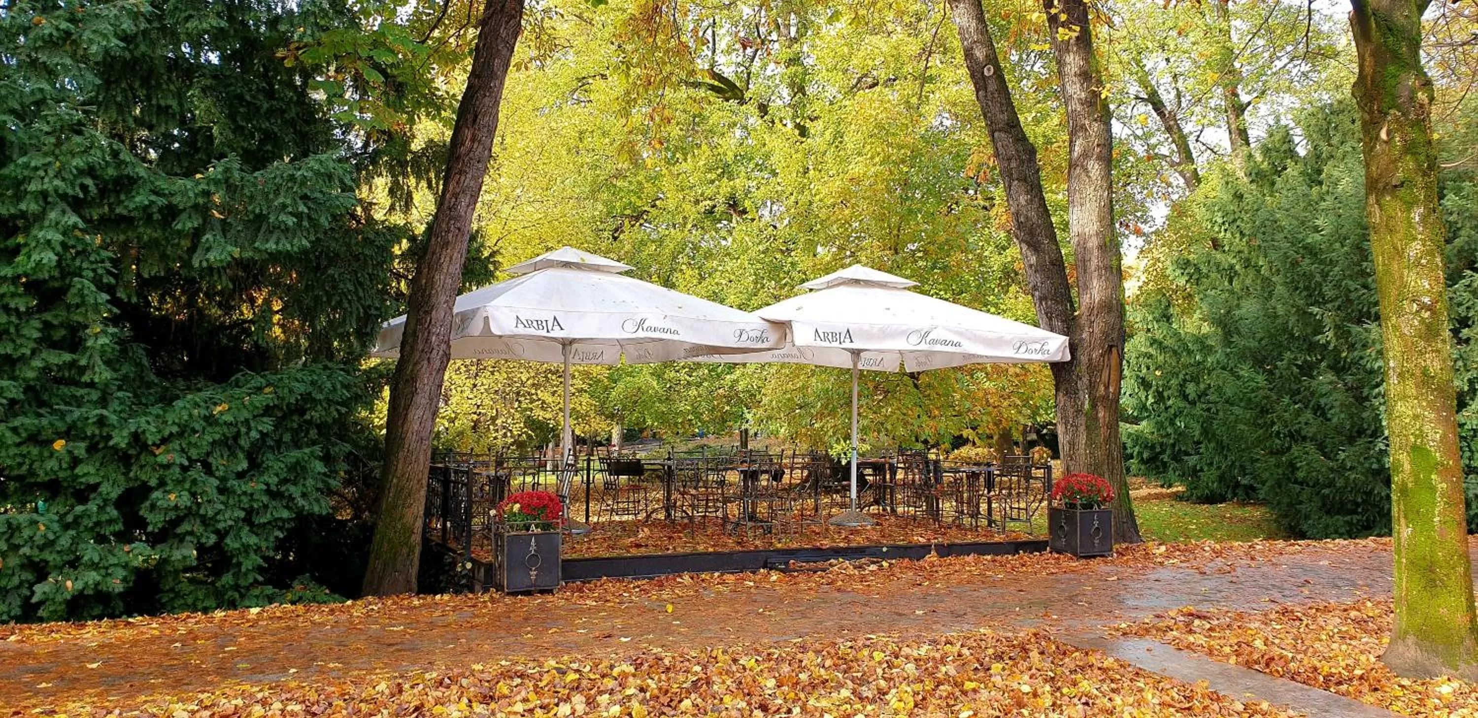 Lounge or bar in Arbia Dorka Heritage Palace