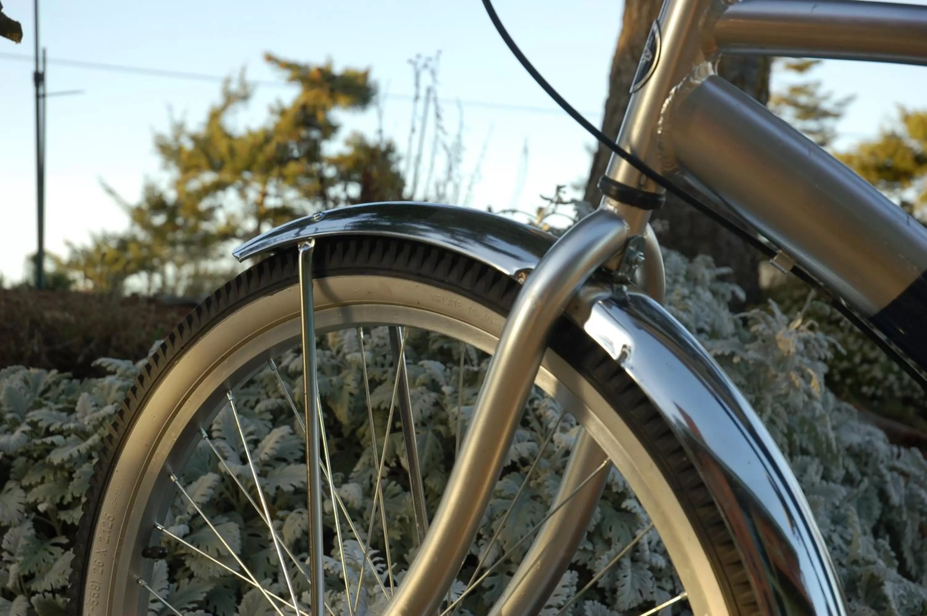 Cycling in Greenhouse Inn by the Bay