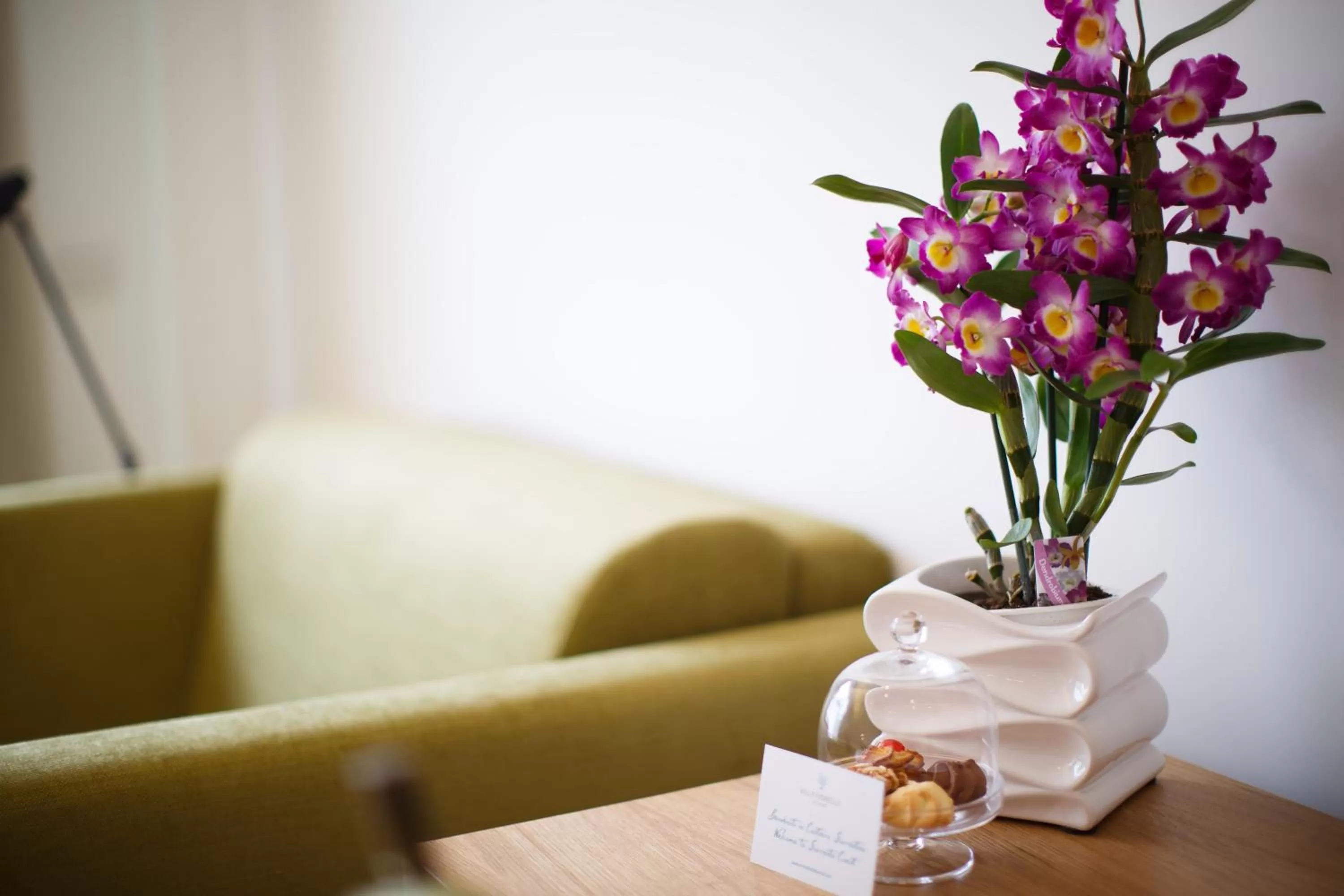 Living room in Villa Fiorella Art Hotel