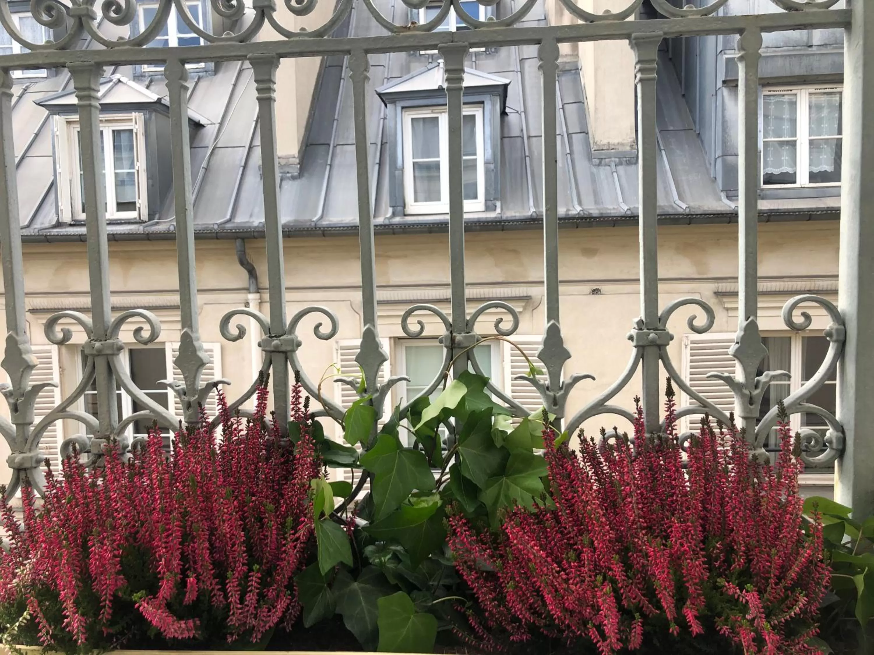 Balcony/Terrace in Hotel Corona -Rodier-