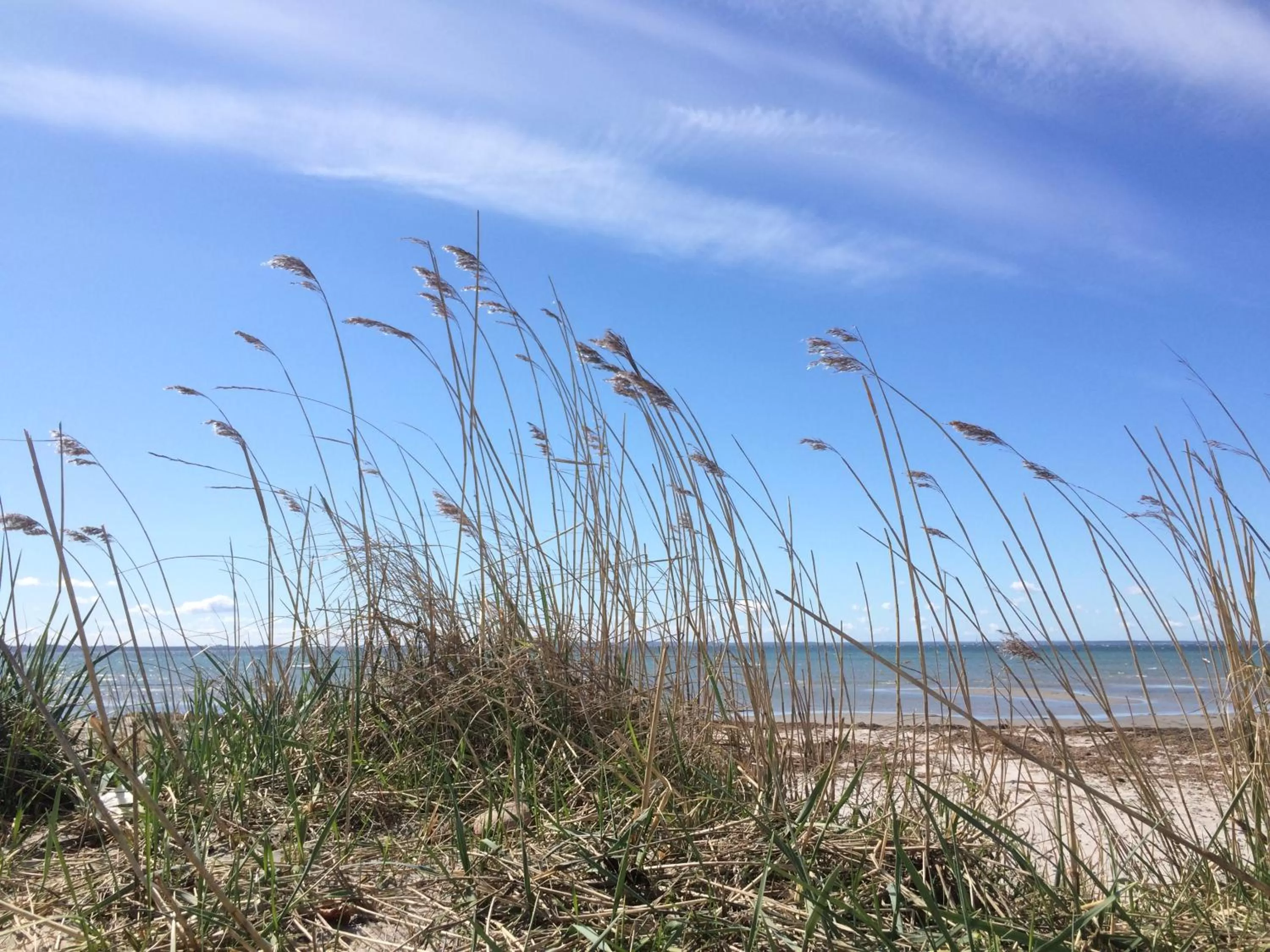 Off site in Sundsgården hotell & konferens