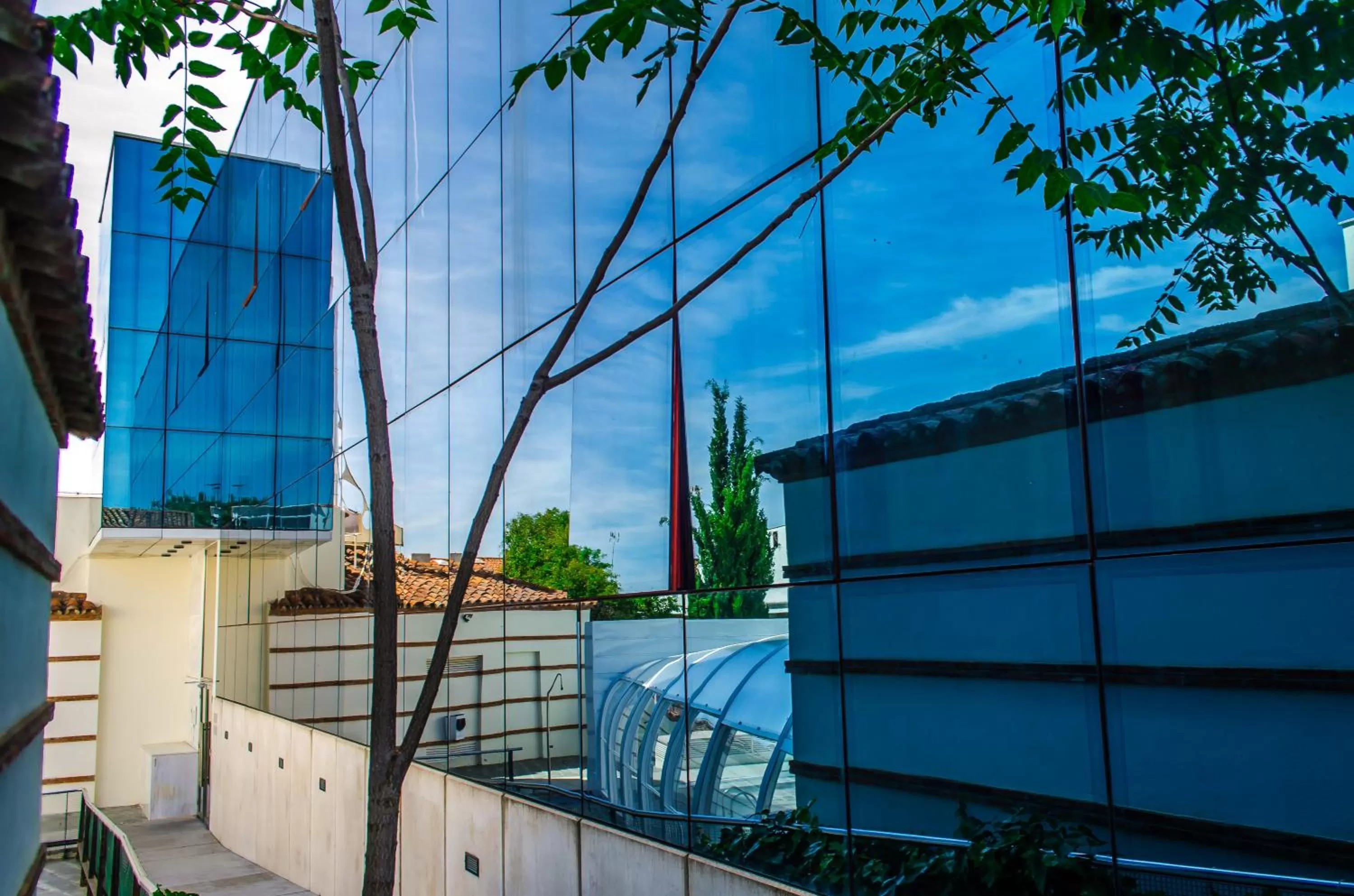 Garden in Hotel Mirador de Llerena