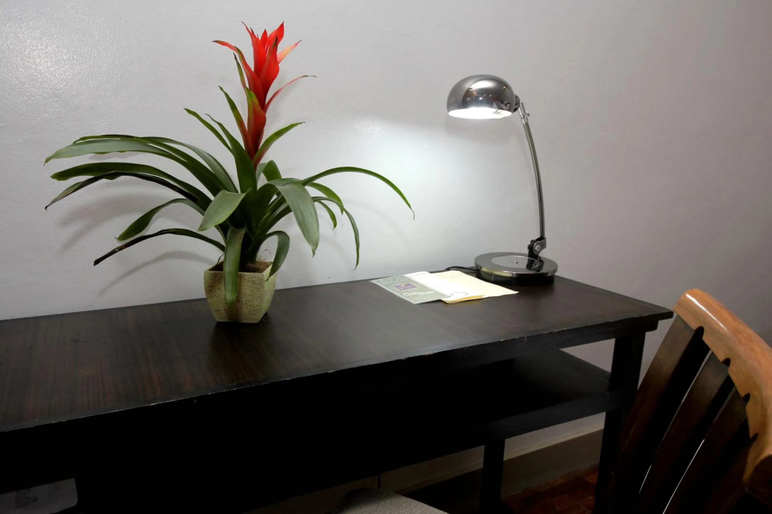 Decorative detail in Casa Pura Inn and Suites