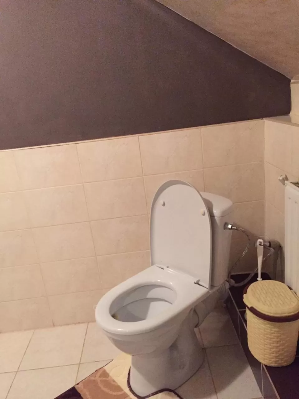 Toilet in Hostel Vokzal