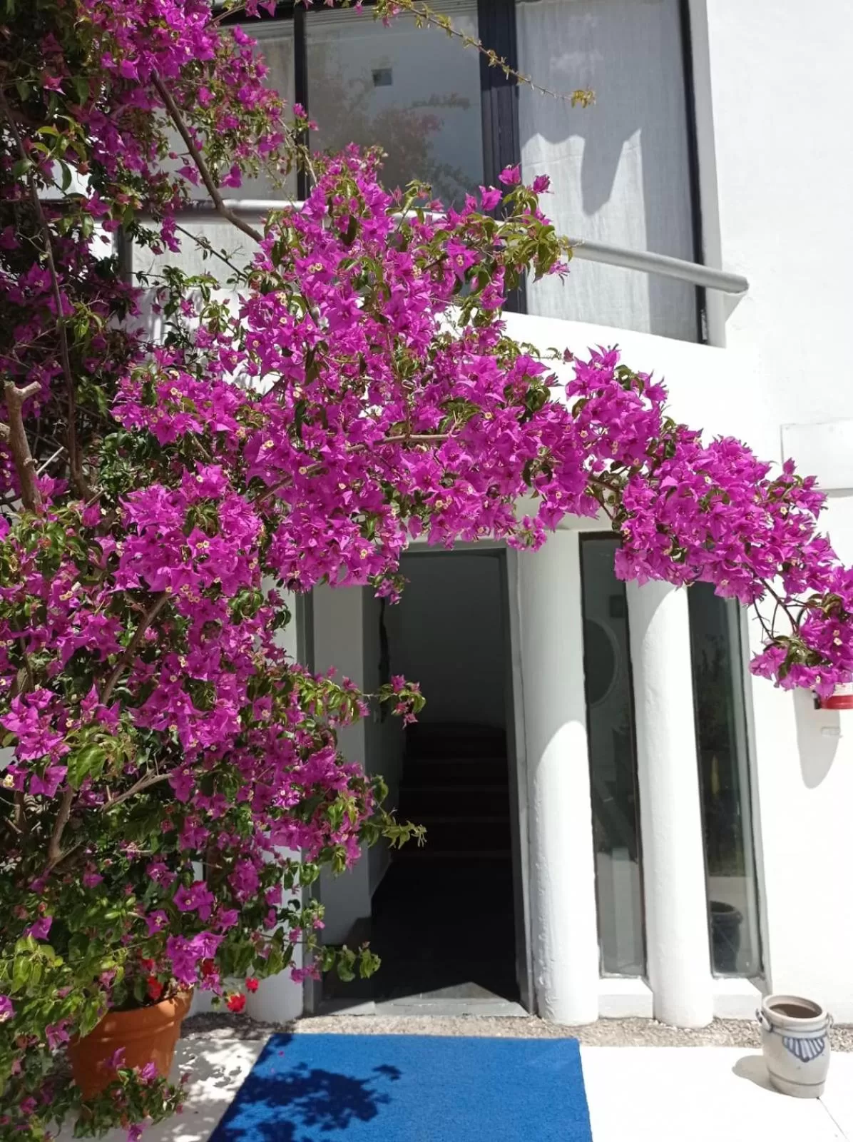 Inner courtyard view in Posada de los Pajaros