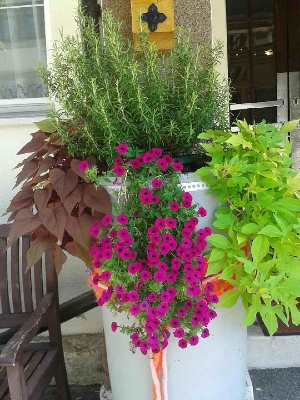 Area and facilities in Hotel Gisela