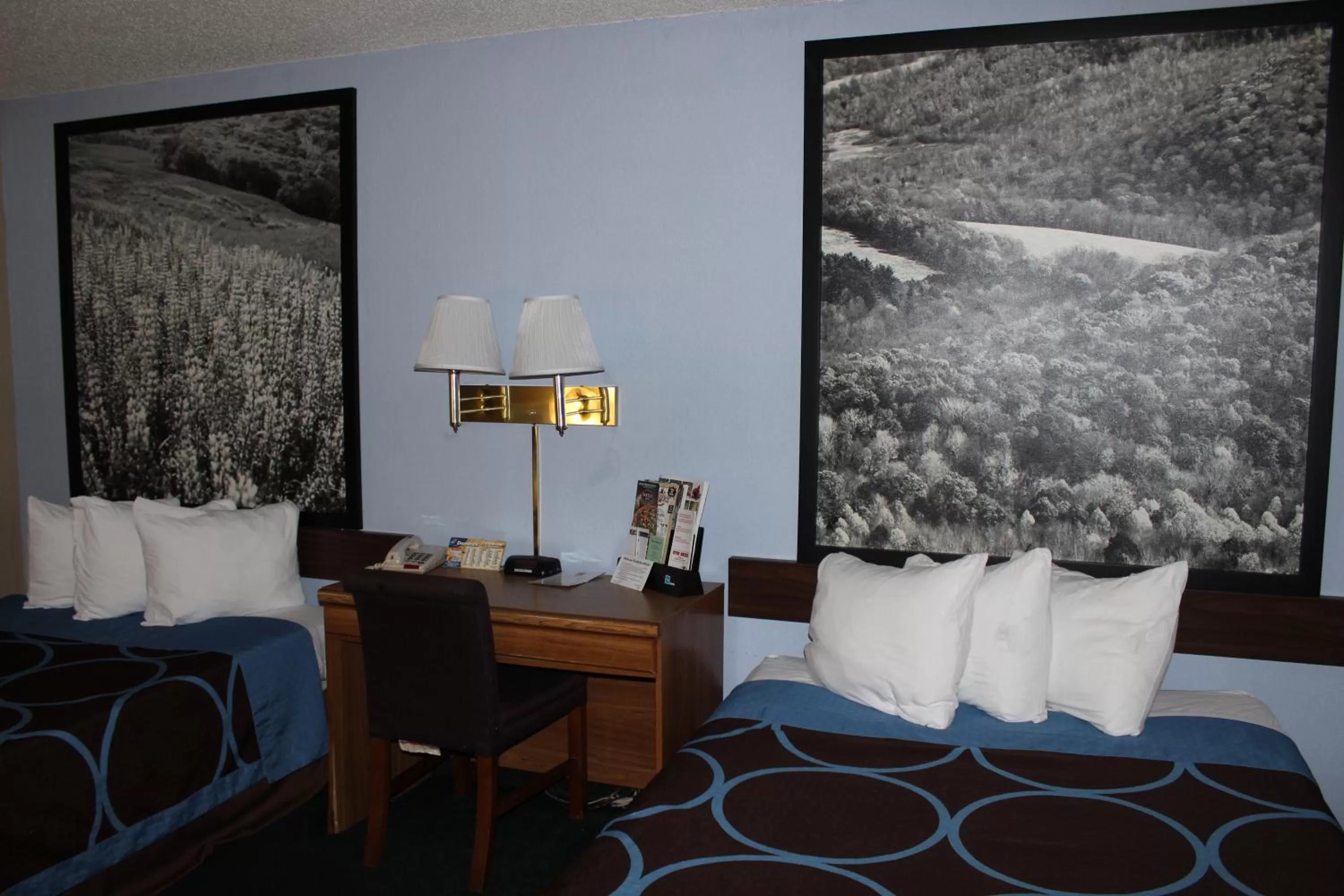 Bed in Super 8 by Wyndham East Stroudsburg - Poconos