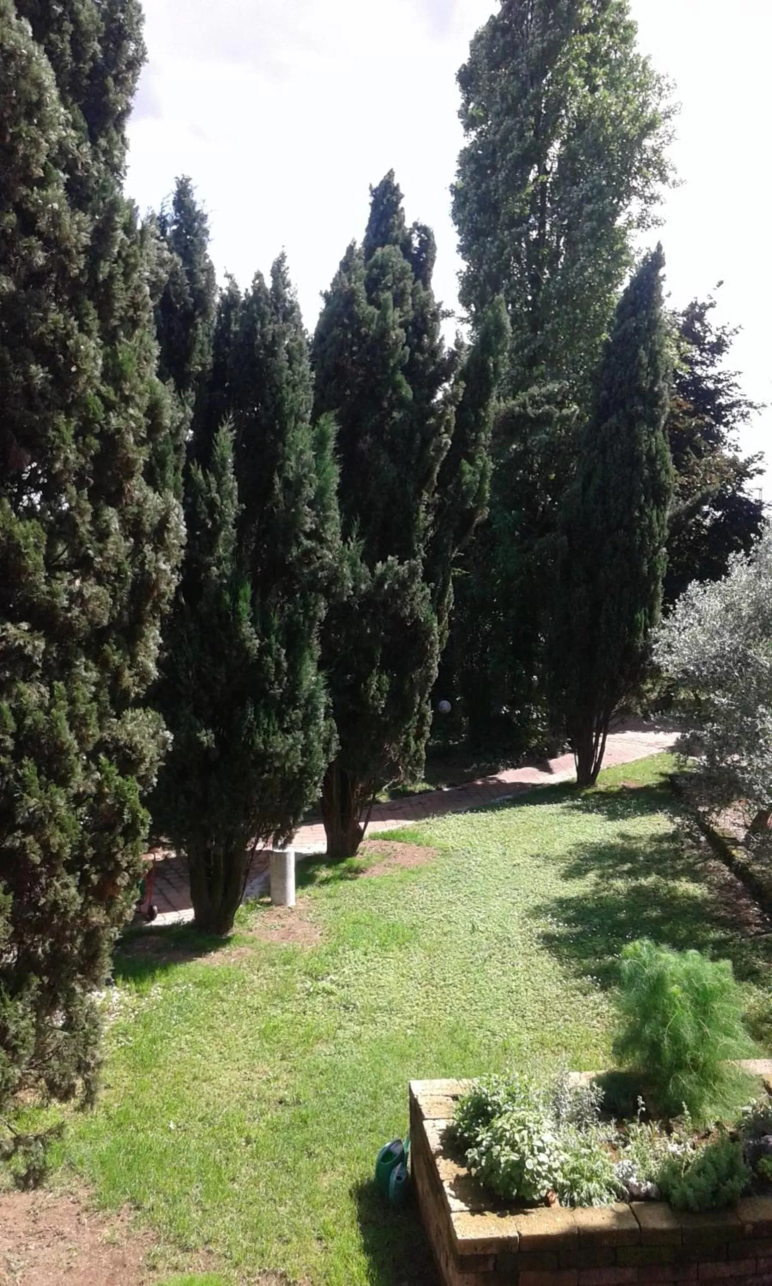 Garden view in I Pioppi Bed & Breakfast
