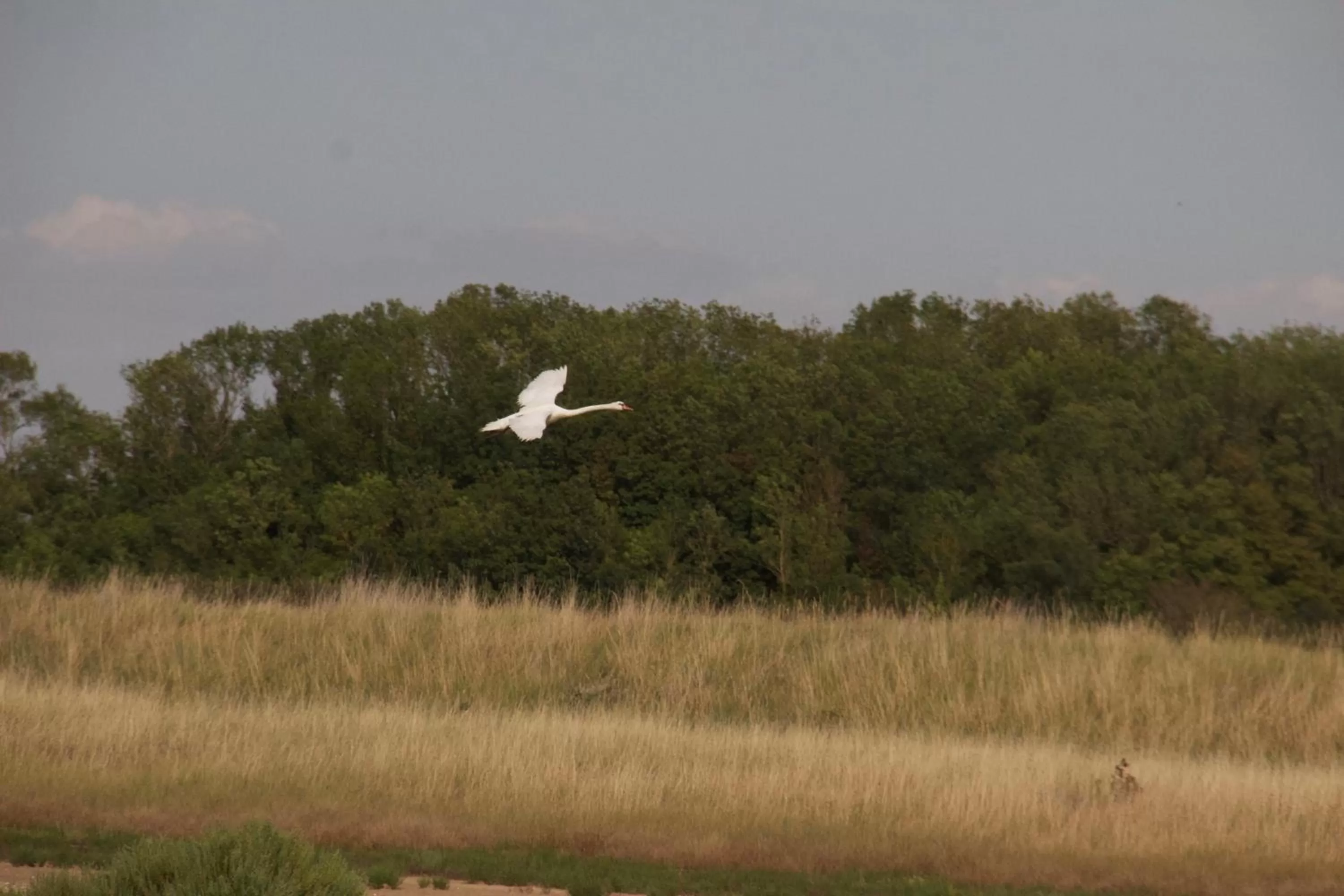 Off site in La Charentine