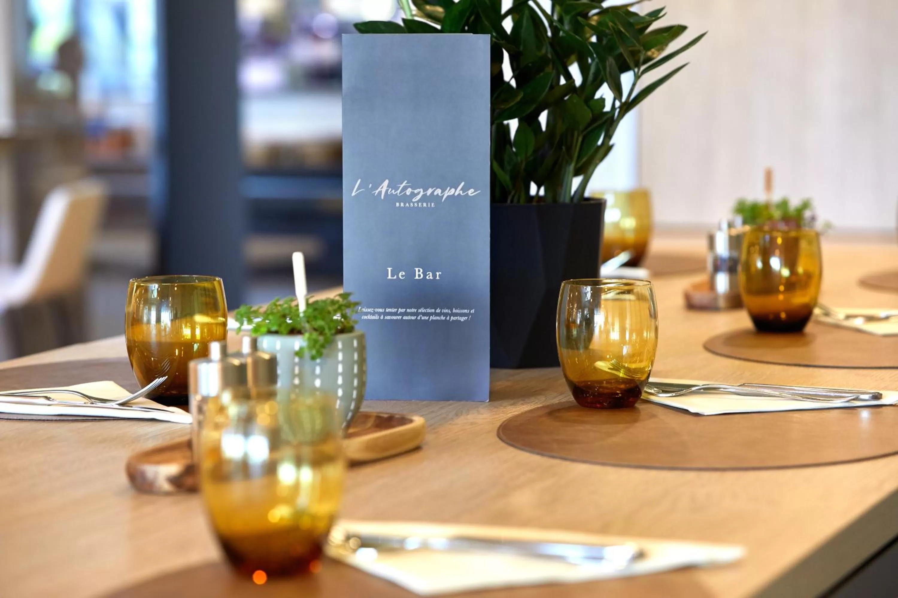 Drinks in ibis La Roche Sur Yon Vendespace