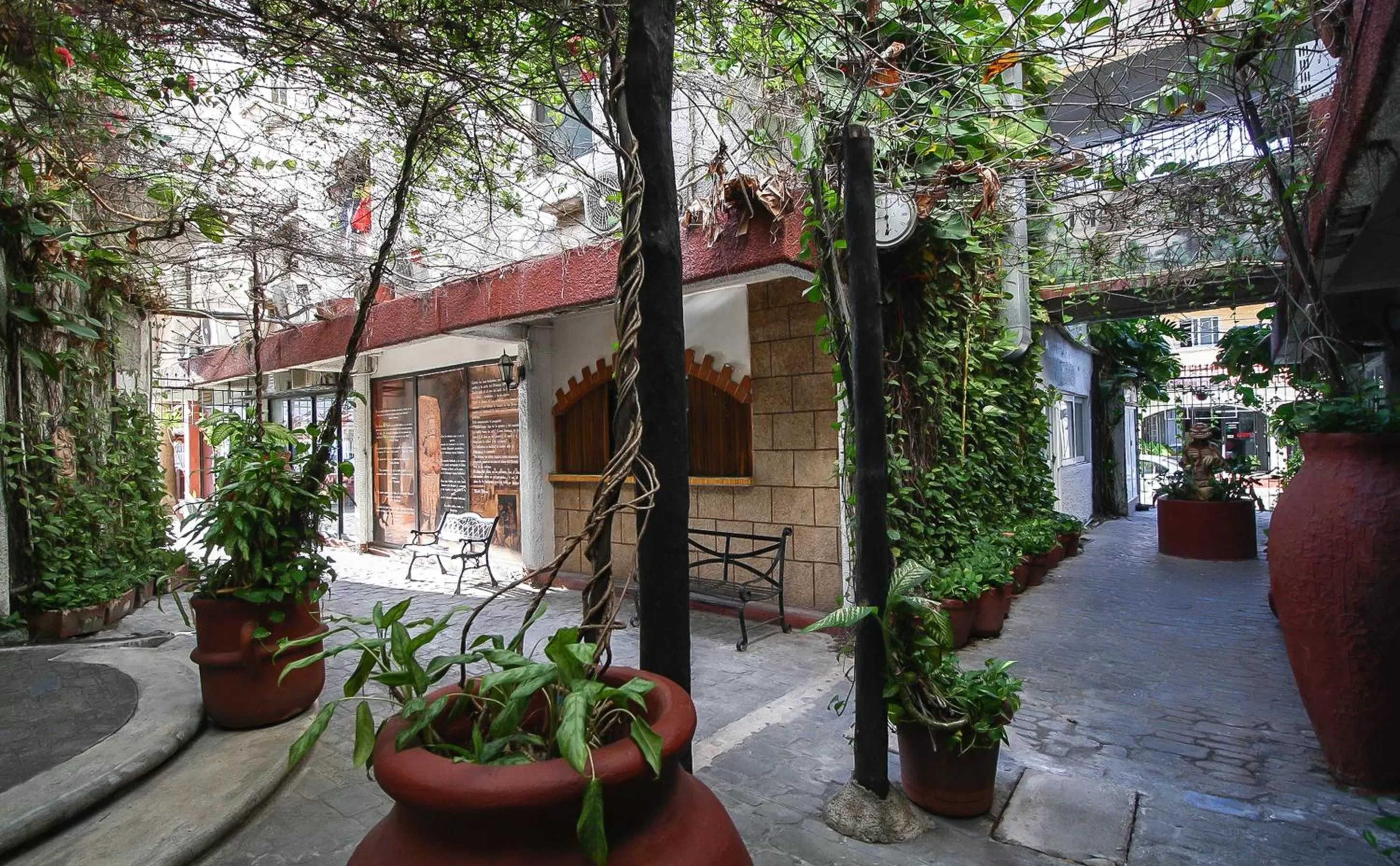 Patio in Hotel Xbalamqué & Spa Cancún Centro