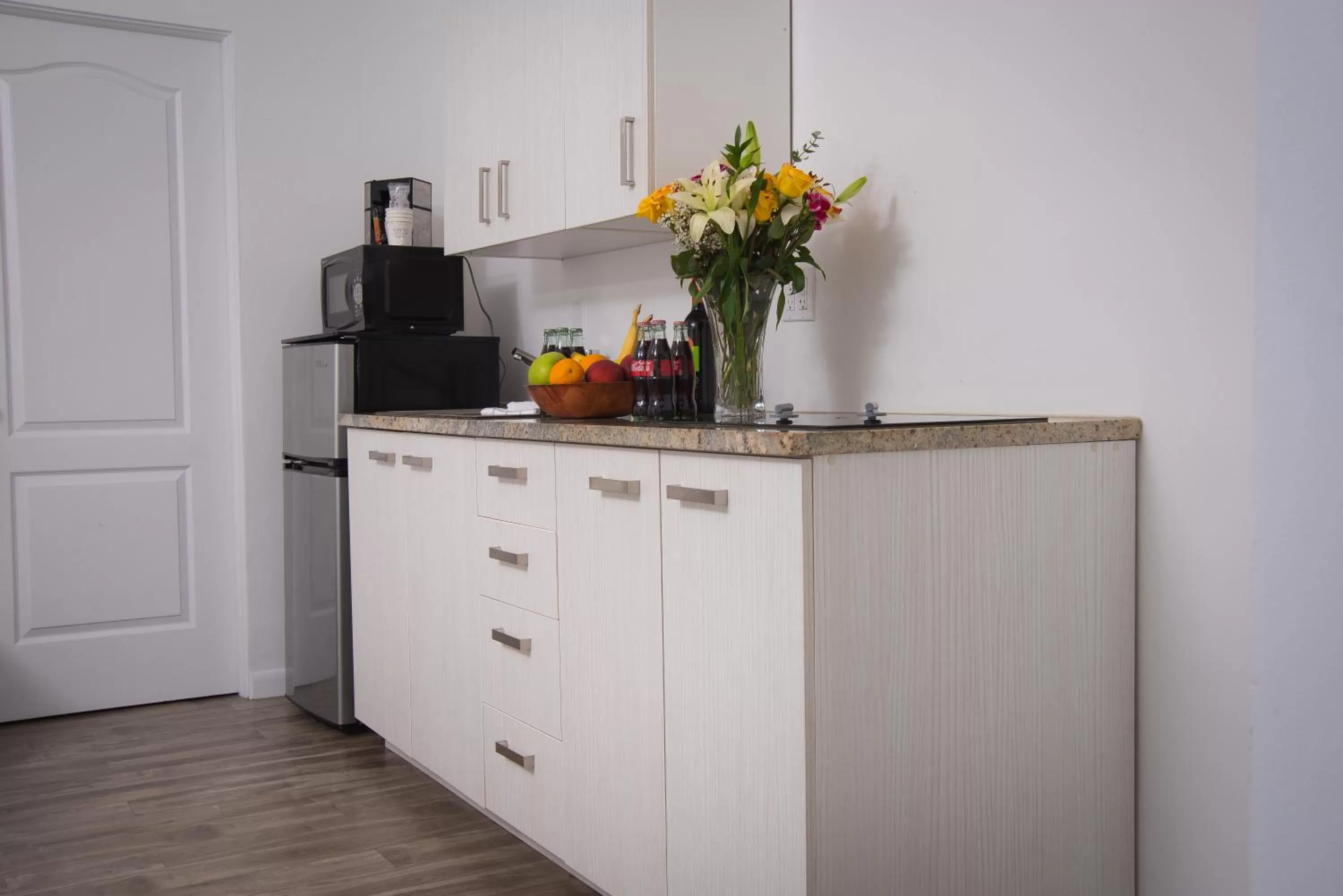 Kitchen or kitchenette in Regency Inn & Suites Sarasota