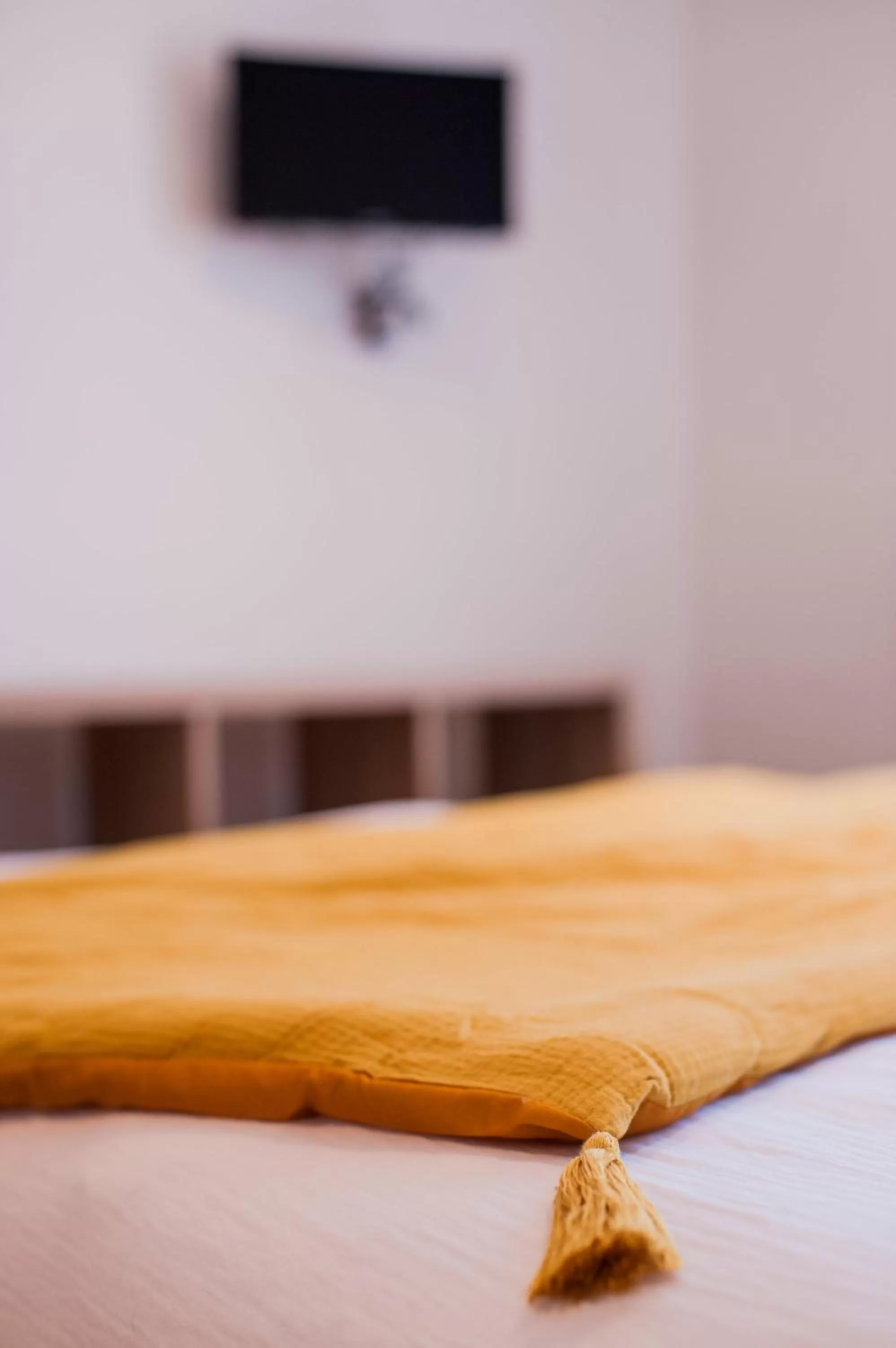 Bed in **Auberge de l'Aude**