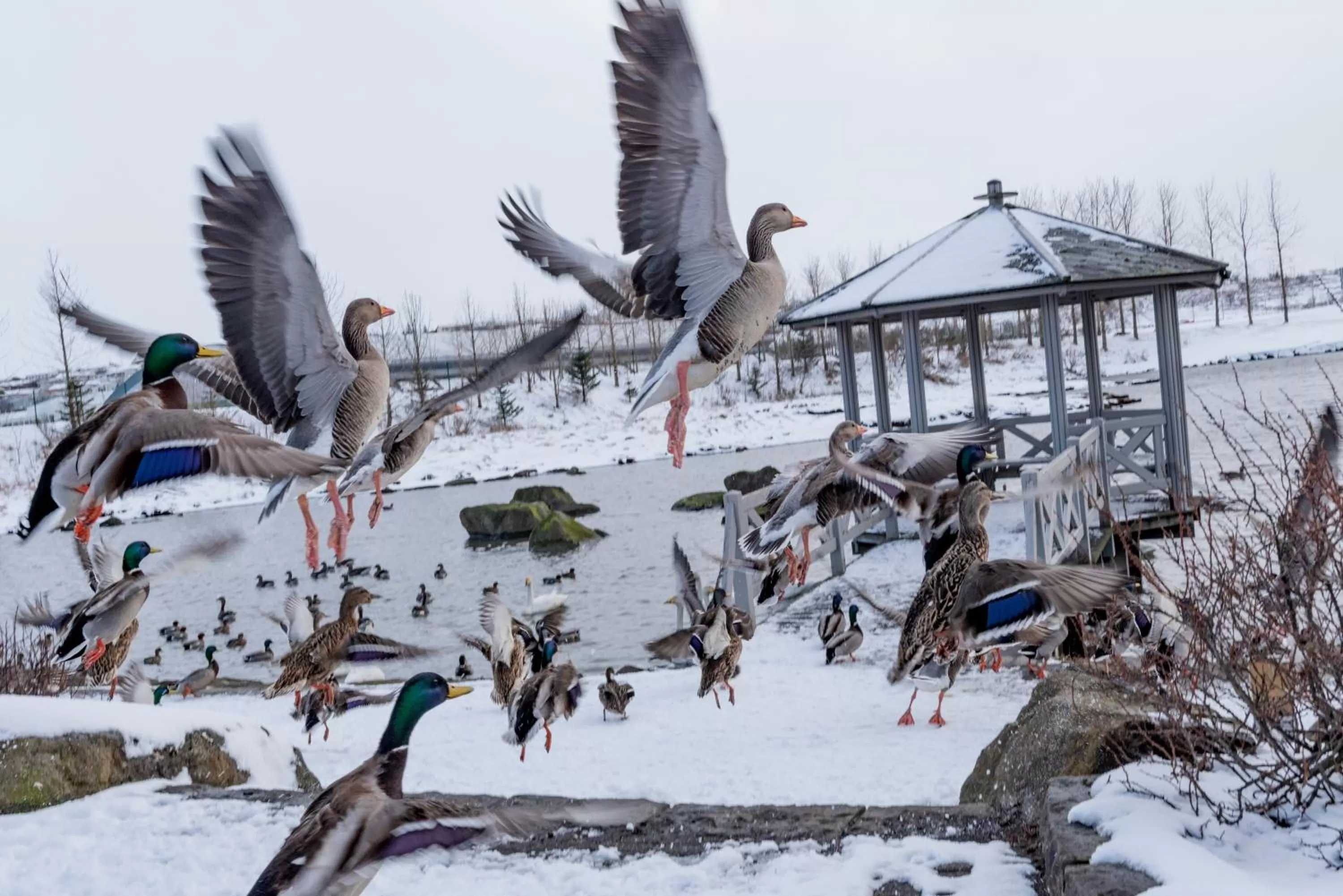 Nearby landmark in 201 Hotel