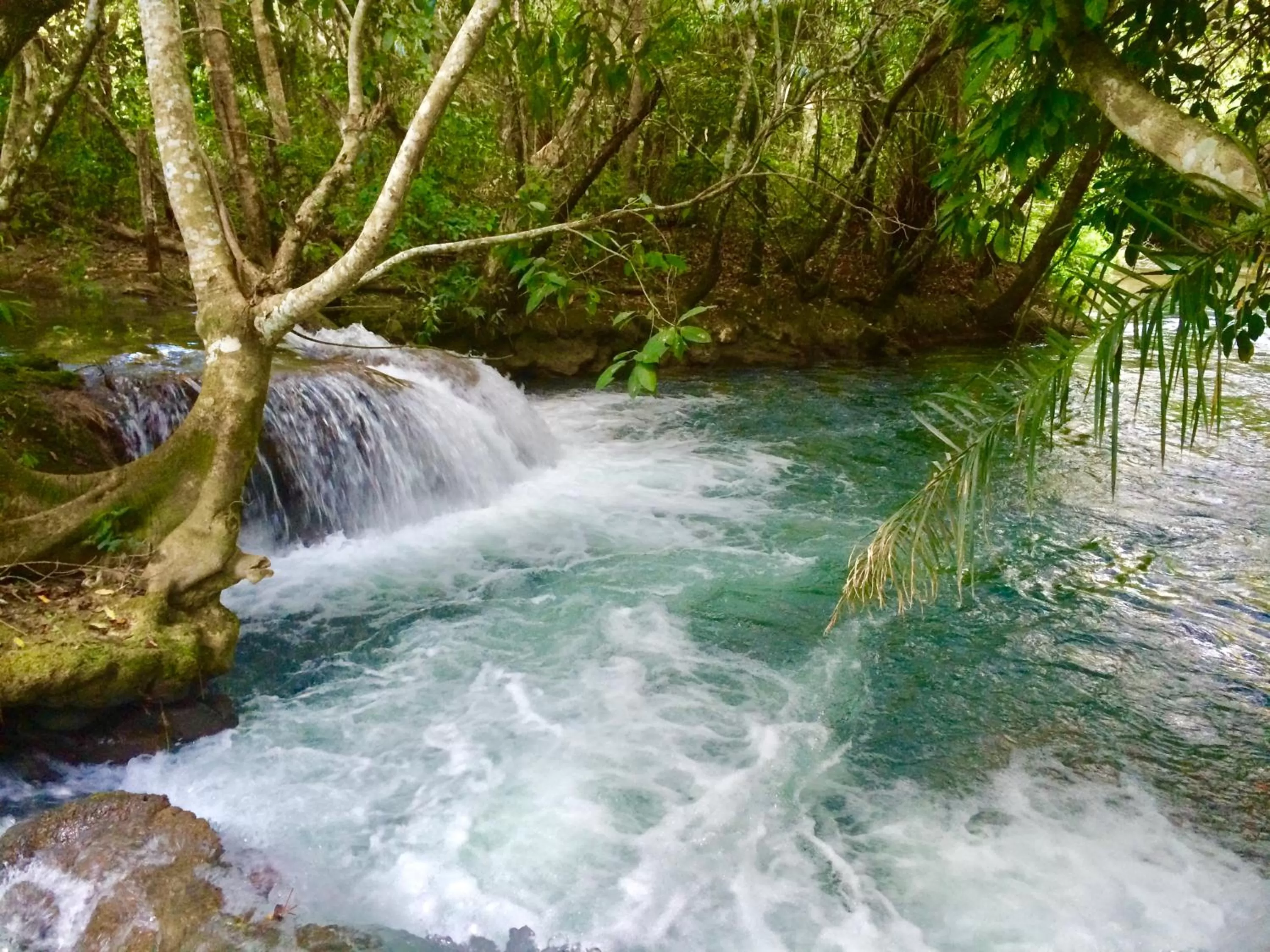 Natural landscape in Hotel Santa Esmeralda
