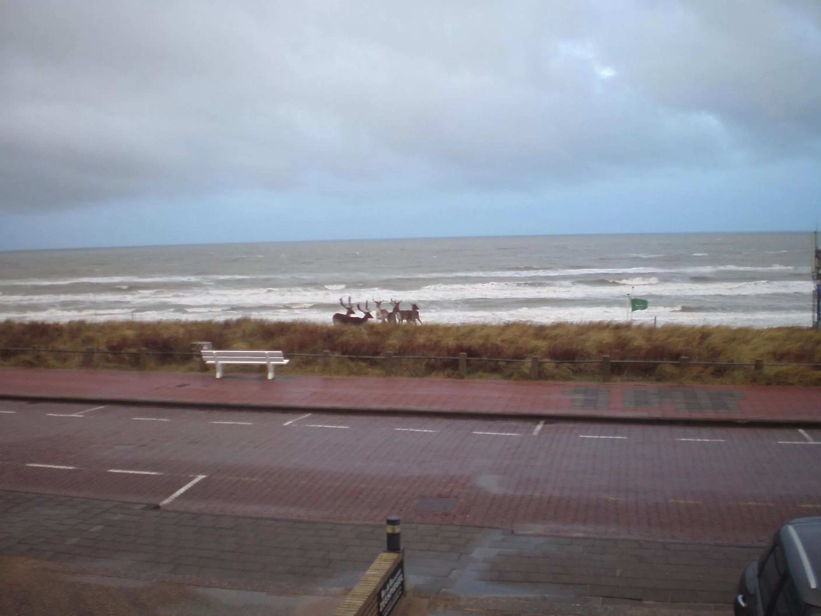 Sea view in B&B Zeespiegel