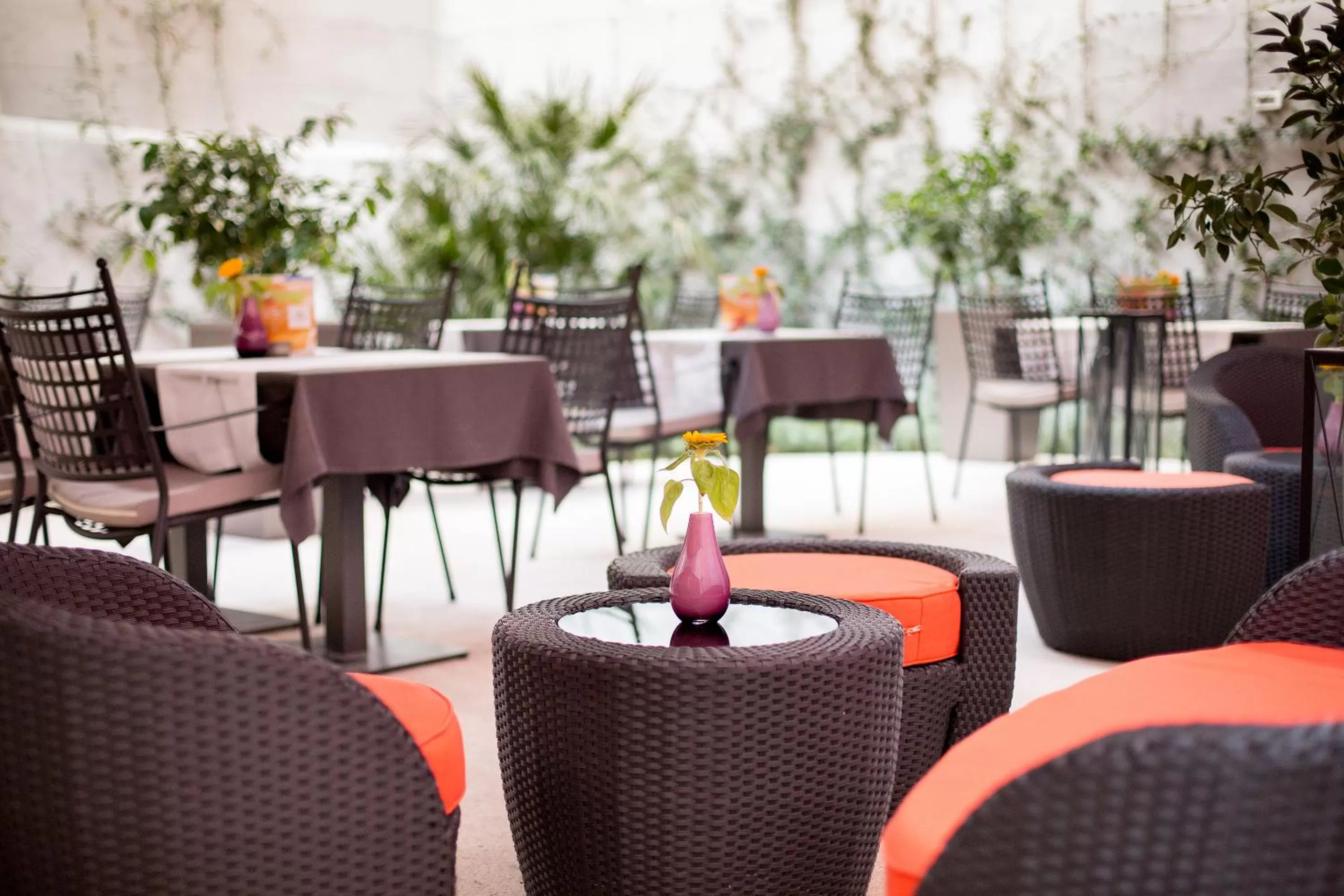 Restaurant/places to eat in Cornaro Hotel