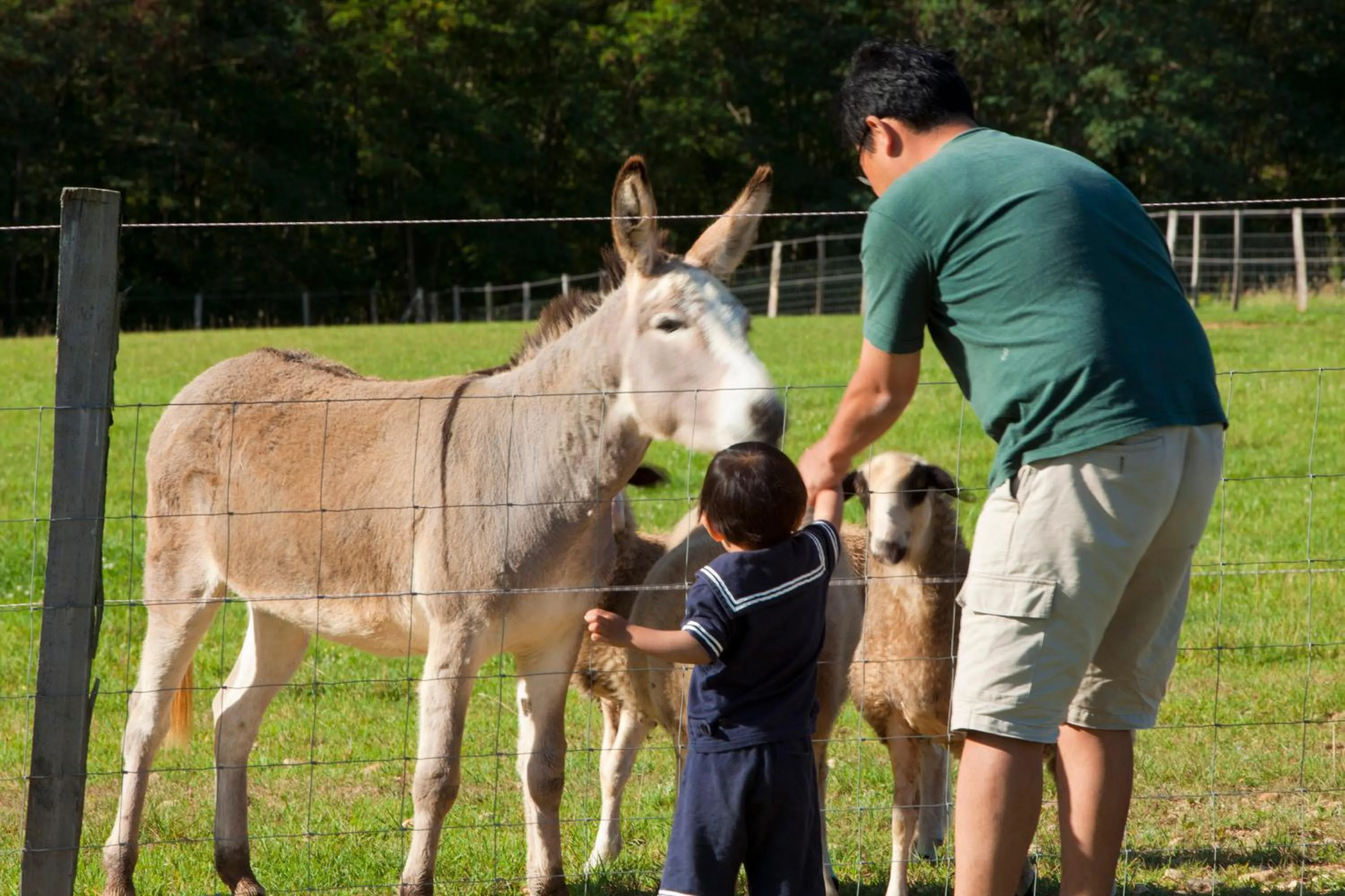 People in Hôtel-Spa Le Saint Cirq